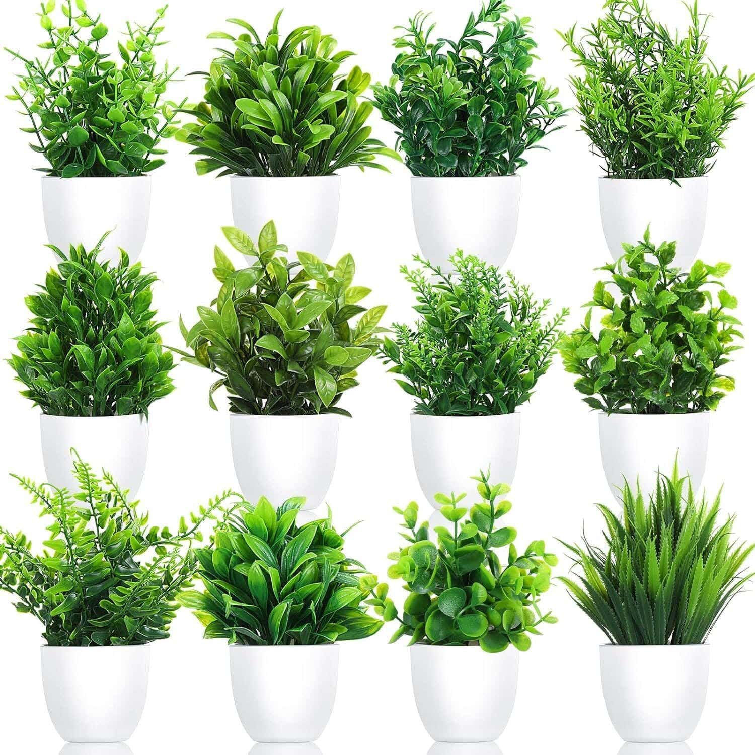 Plastic Planter Pot, 12 Pieces - White Green