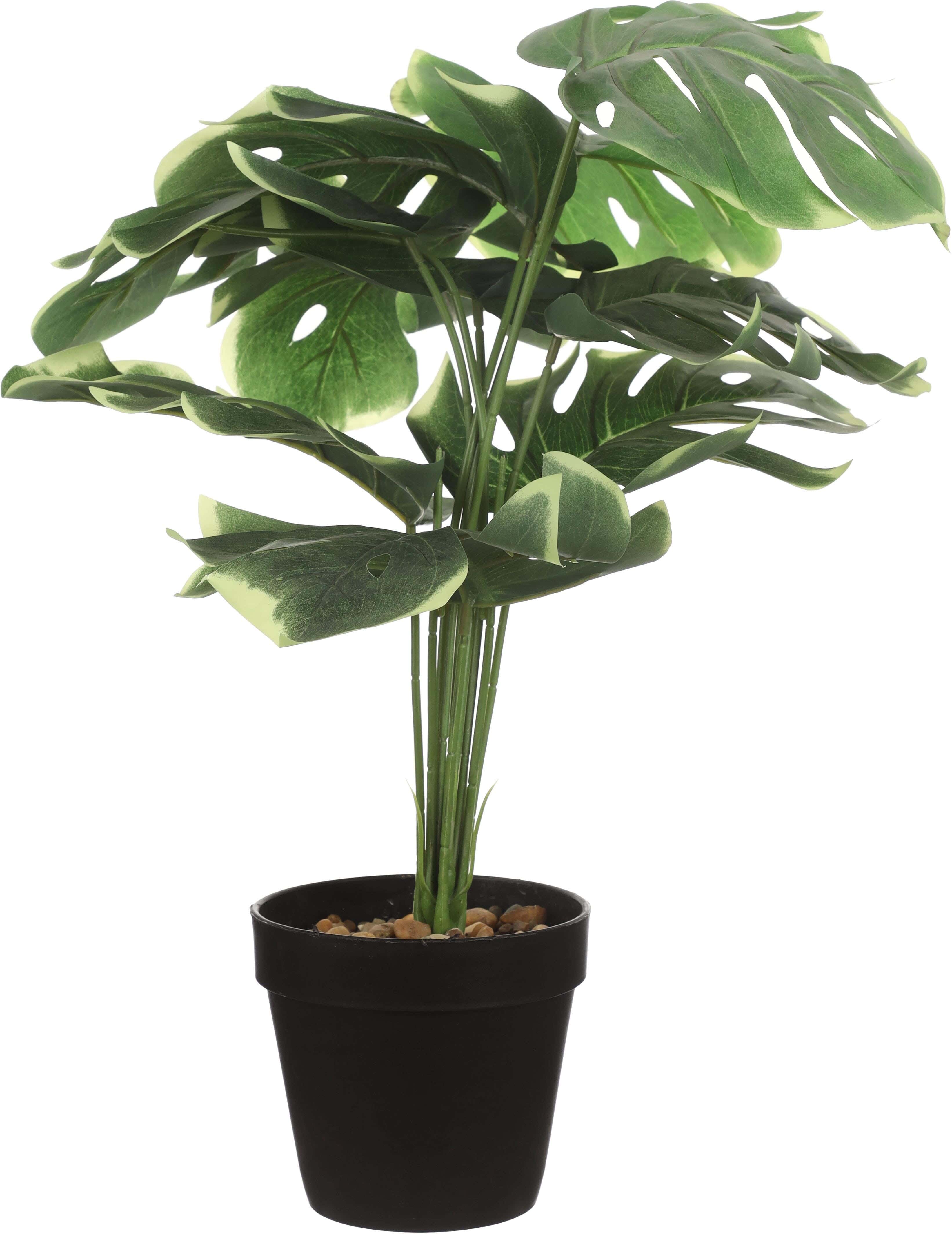Round Plastic Decorative Vase, 14×12 cm - Black Green