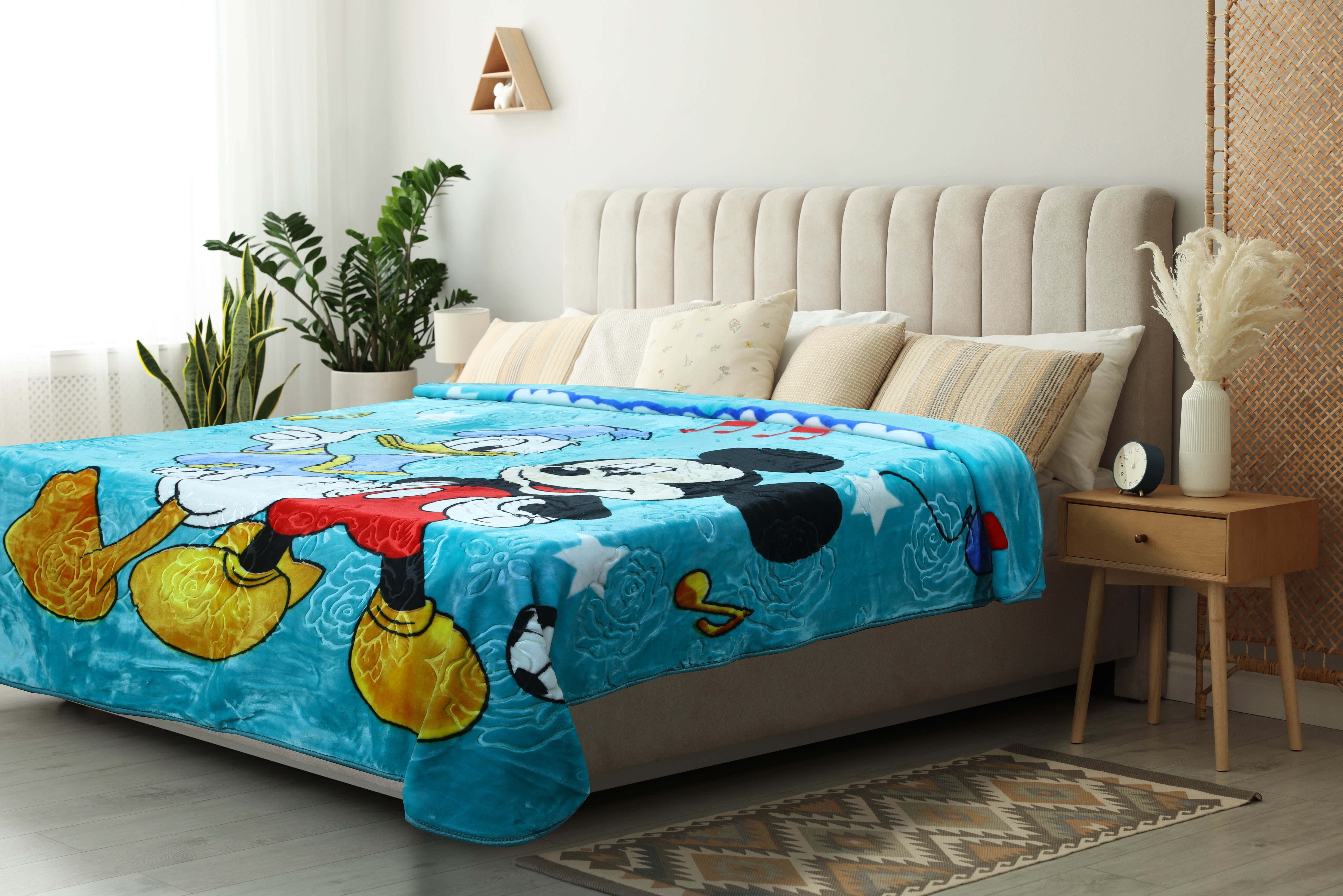 Aslan Velvet Blanket, 2 Pieces, approximately 180x220 cm, approximatelyimately 3 kg - Turquoise