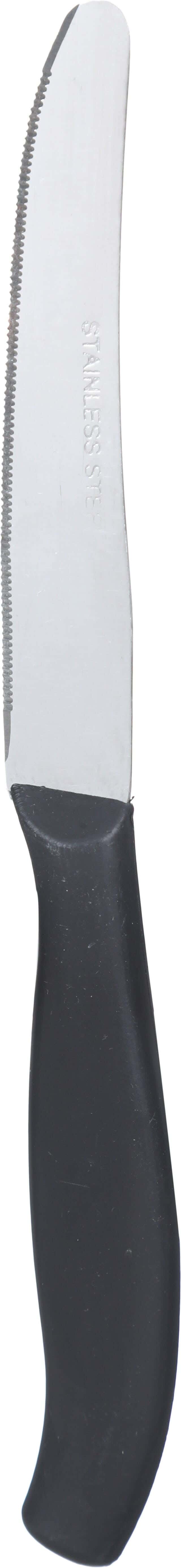 Alex Metal Stainless Steel Knife, 3.5 inch - Black
