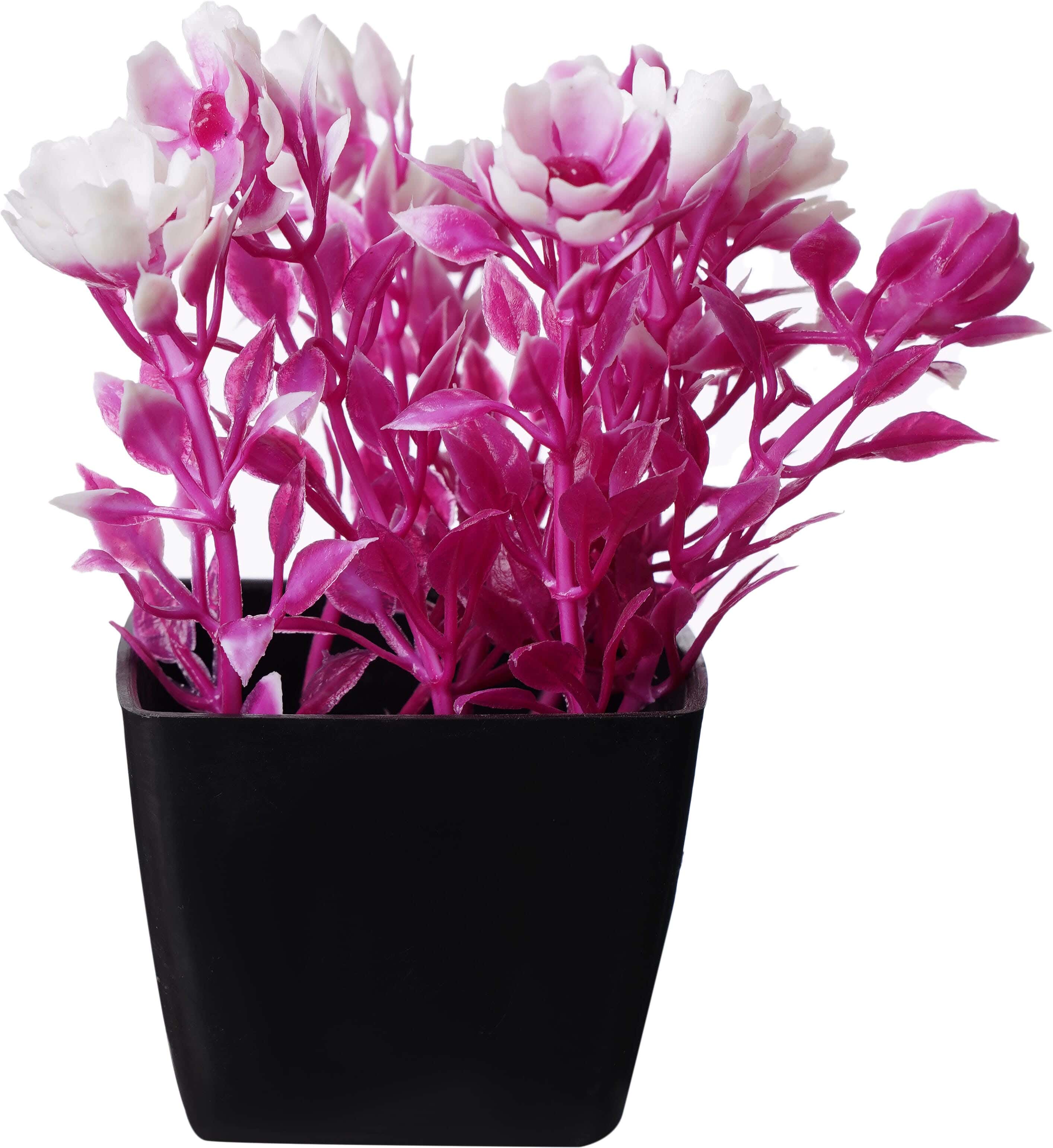 Square Plastic Vase, 5×4 cm - Purple White
