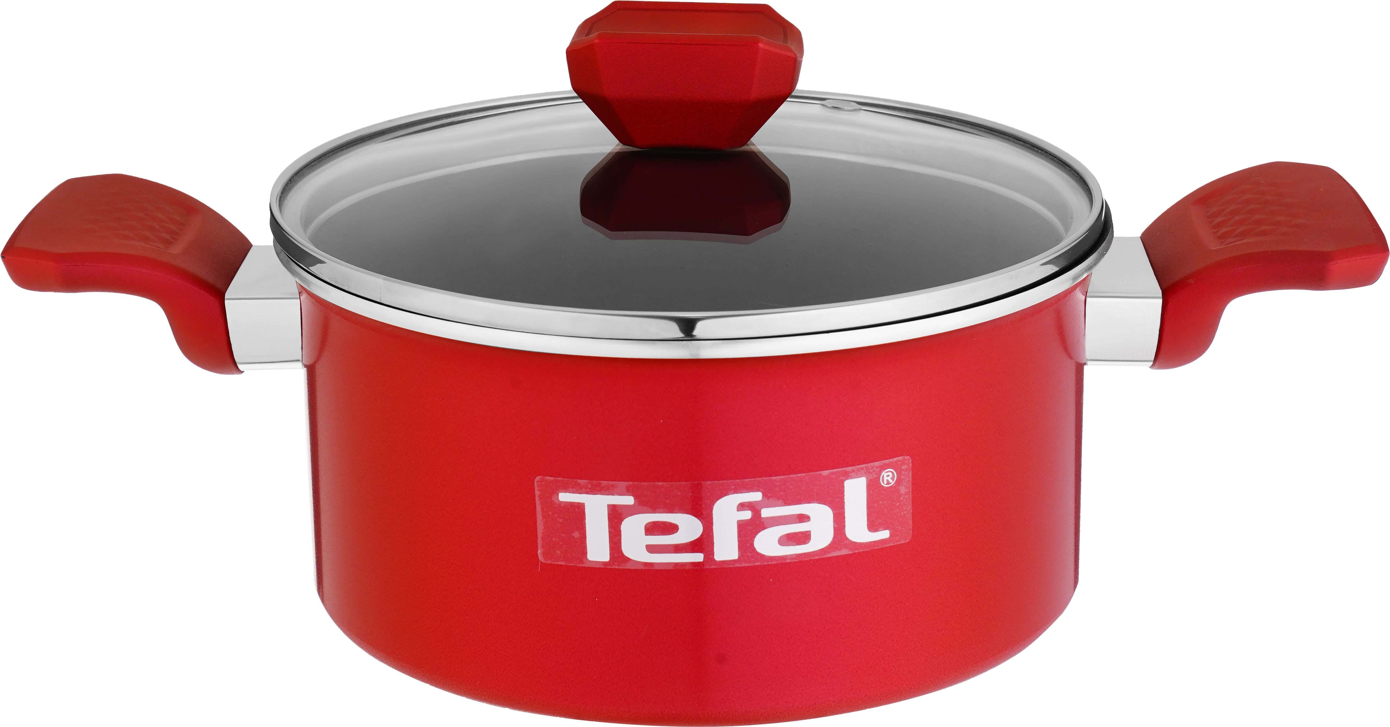 Tefal Expert Pot with Tefal Glass Lid, Size 26 - Red