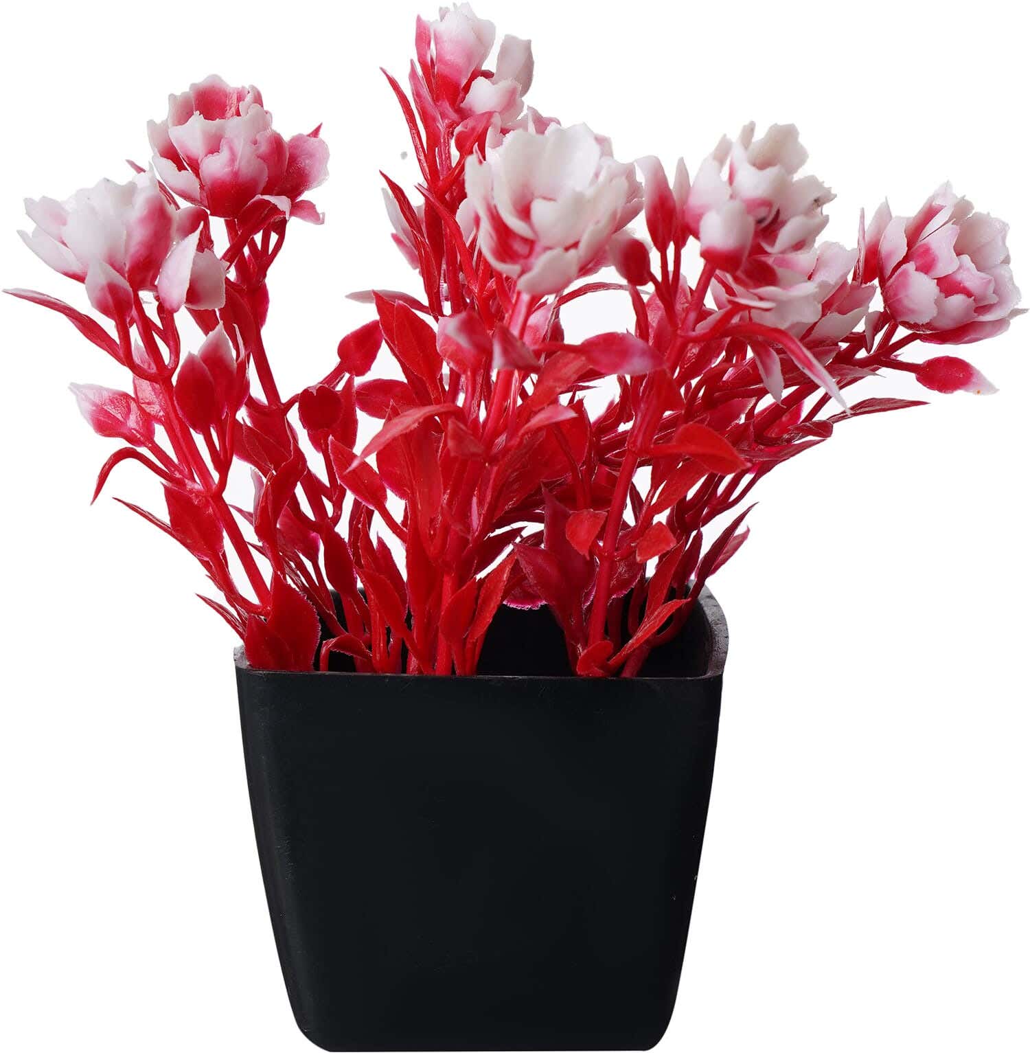 Square Plastic Vase, 5×4 cm - Red White