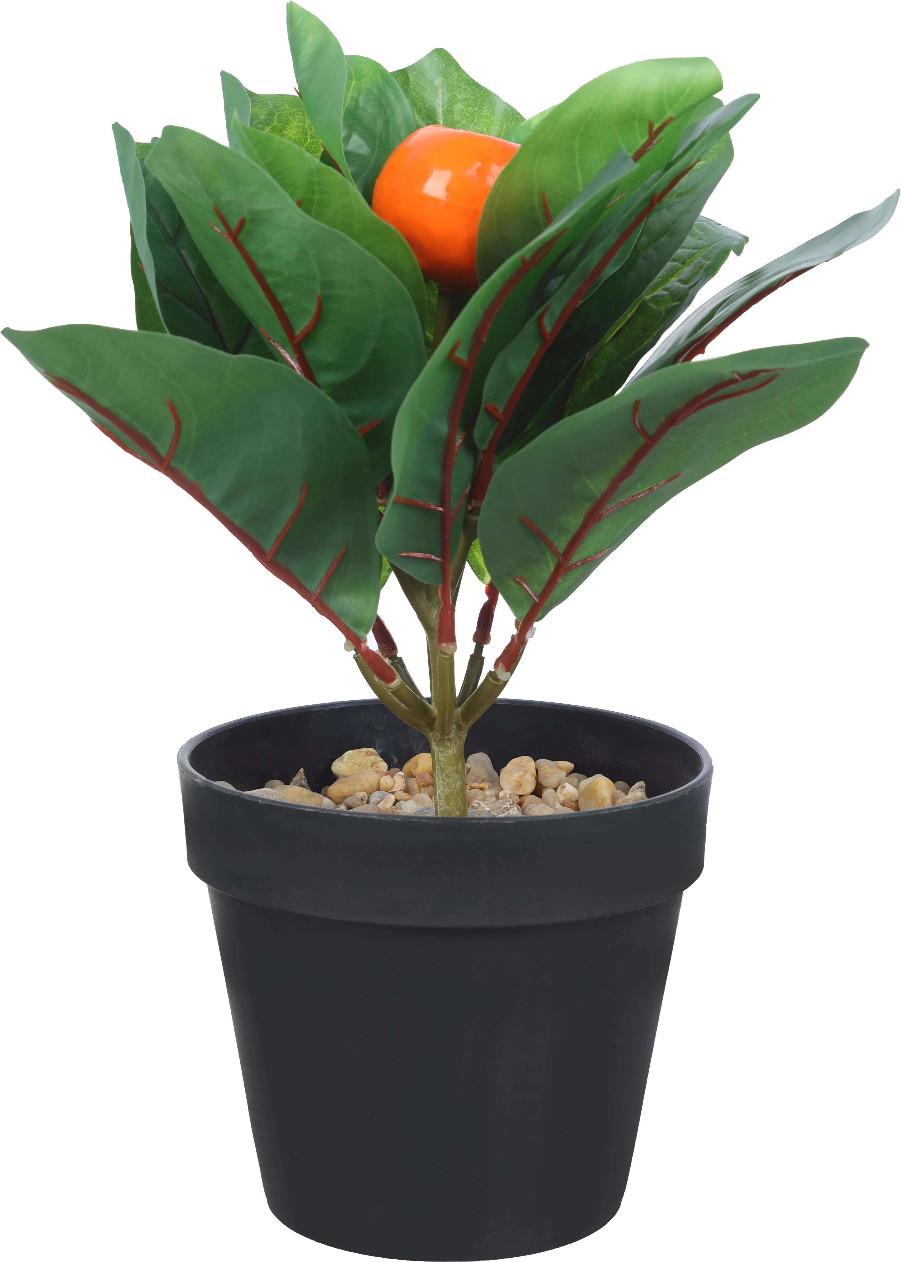 Round Plastic Vase, 12×11 cm - Green Red