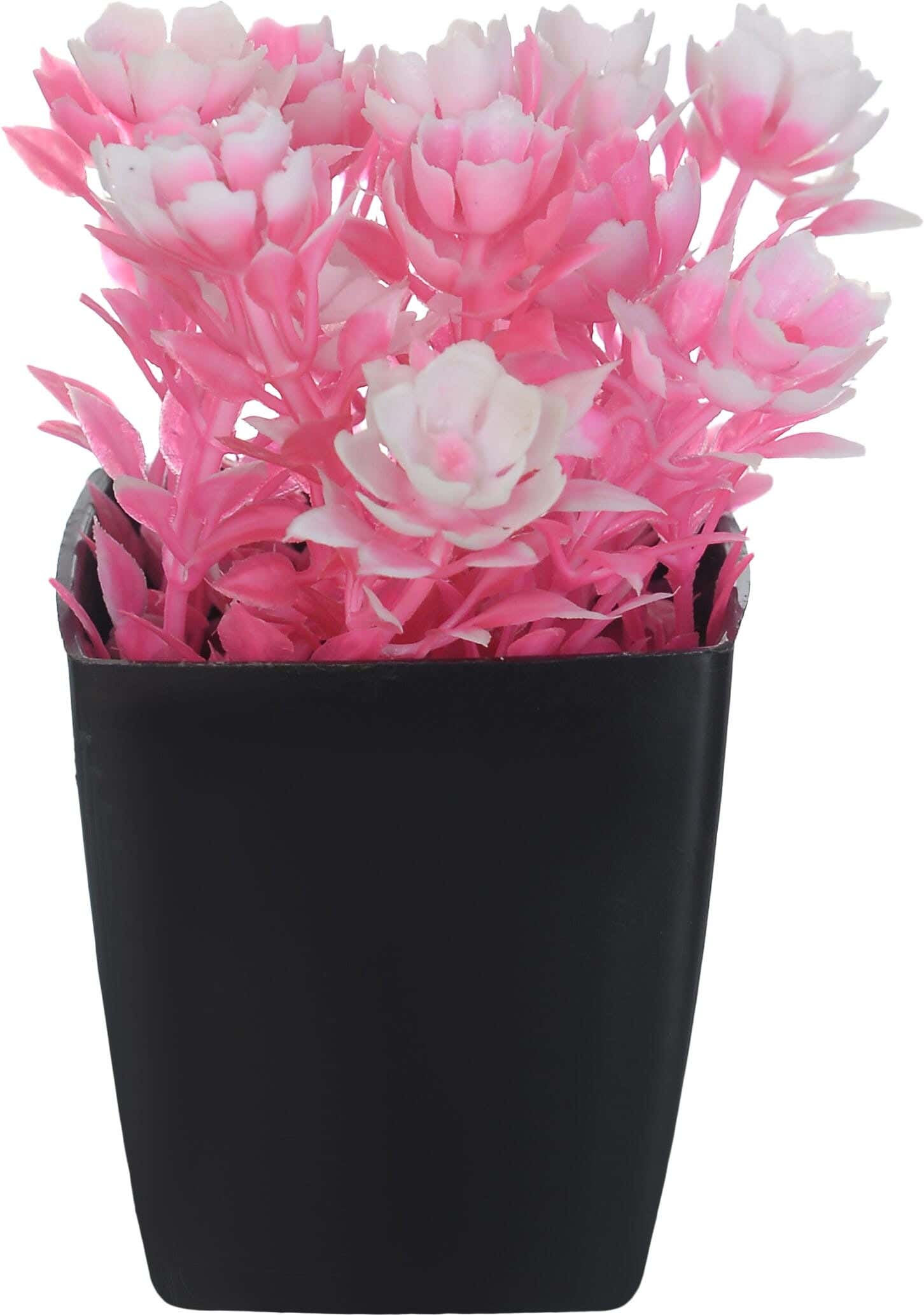 Plastic Square Vase, 5×7 cm - Rose