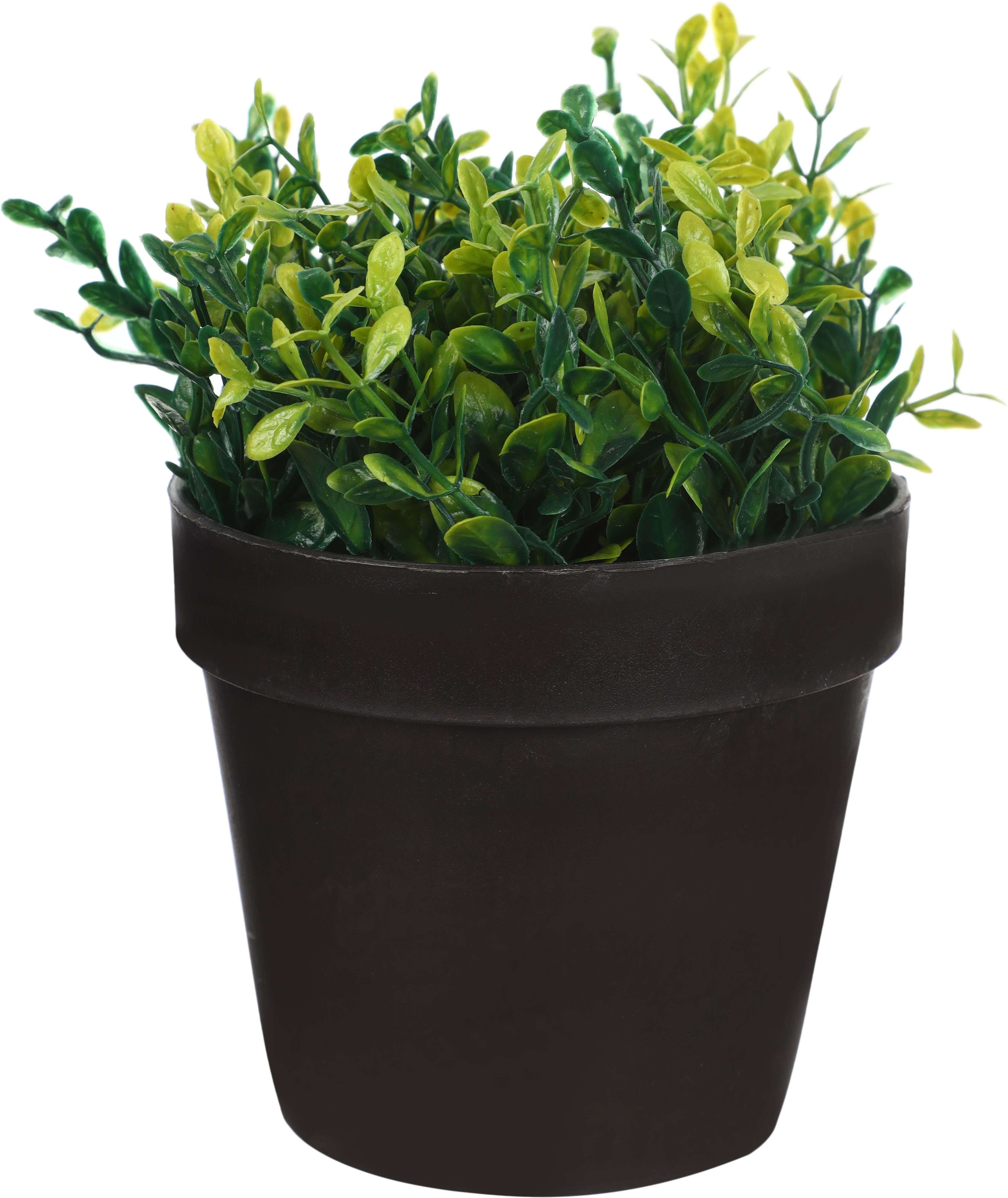 Round Plastic Vase, 13×11 cm - Black Green