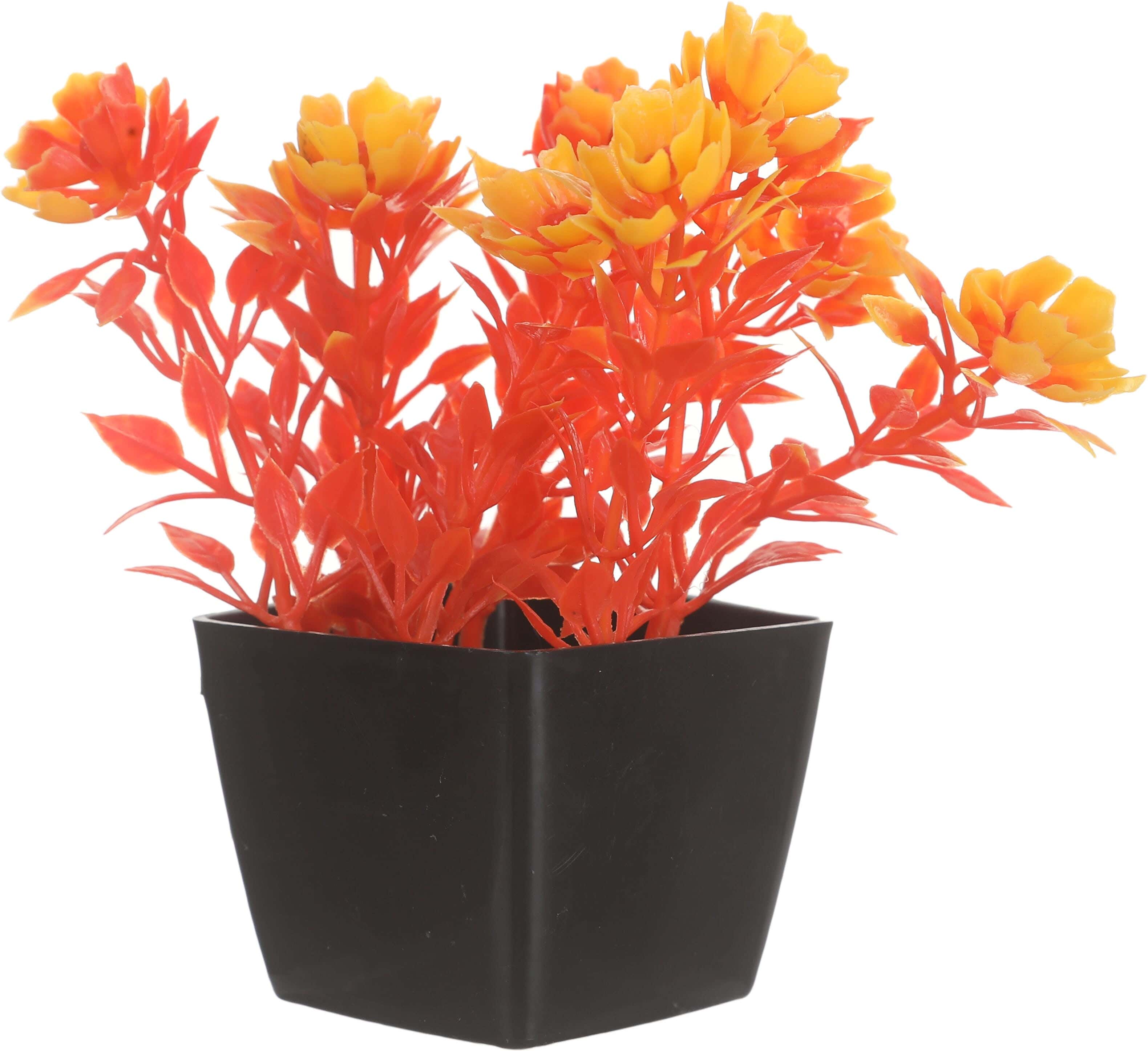 Square Plastic Vase, 5×4 cm - Black Orange
