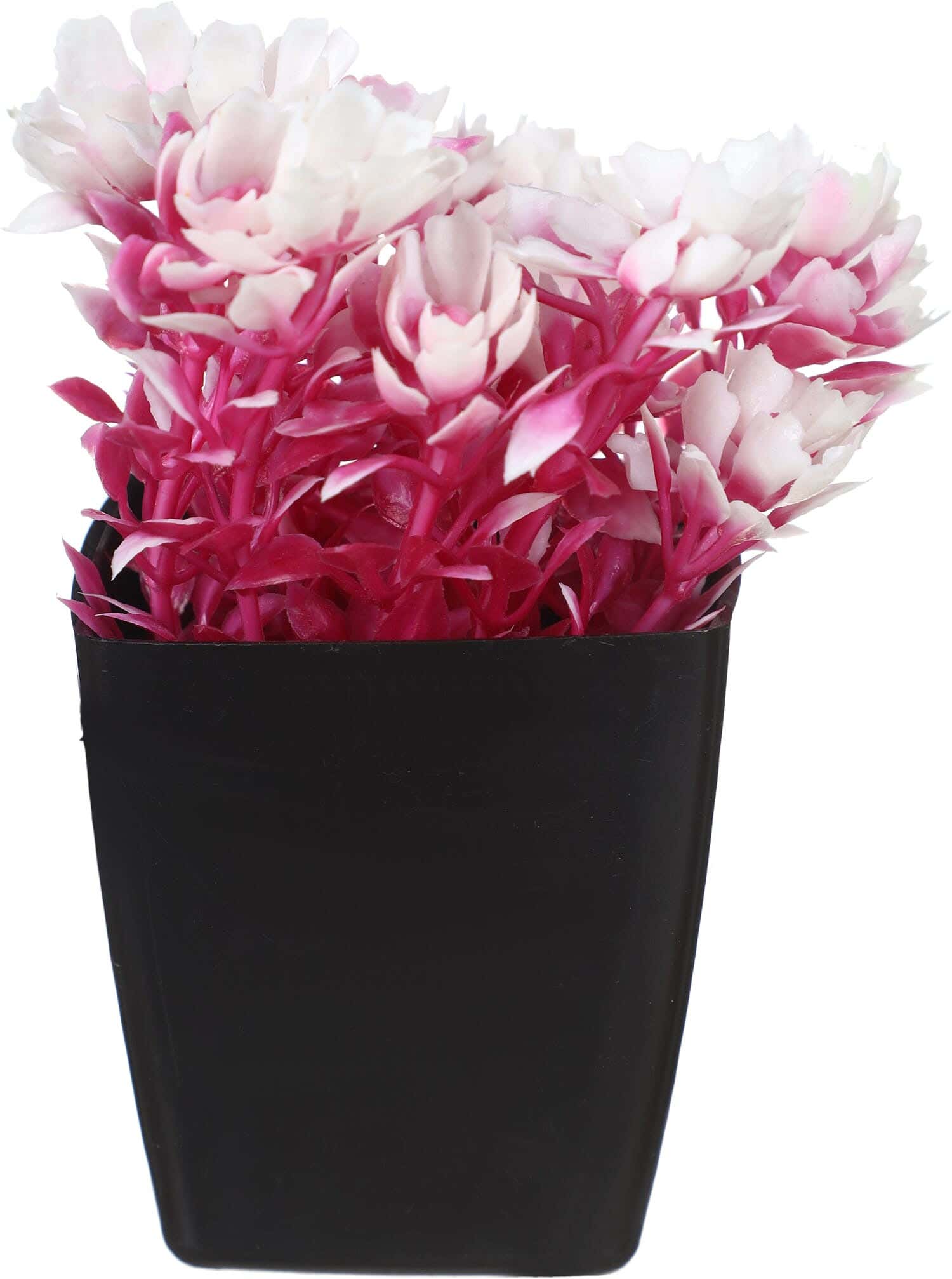 Square Plastic Vase, 5×7 cm - Fuchsia White