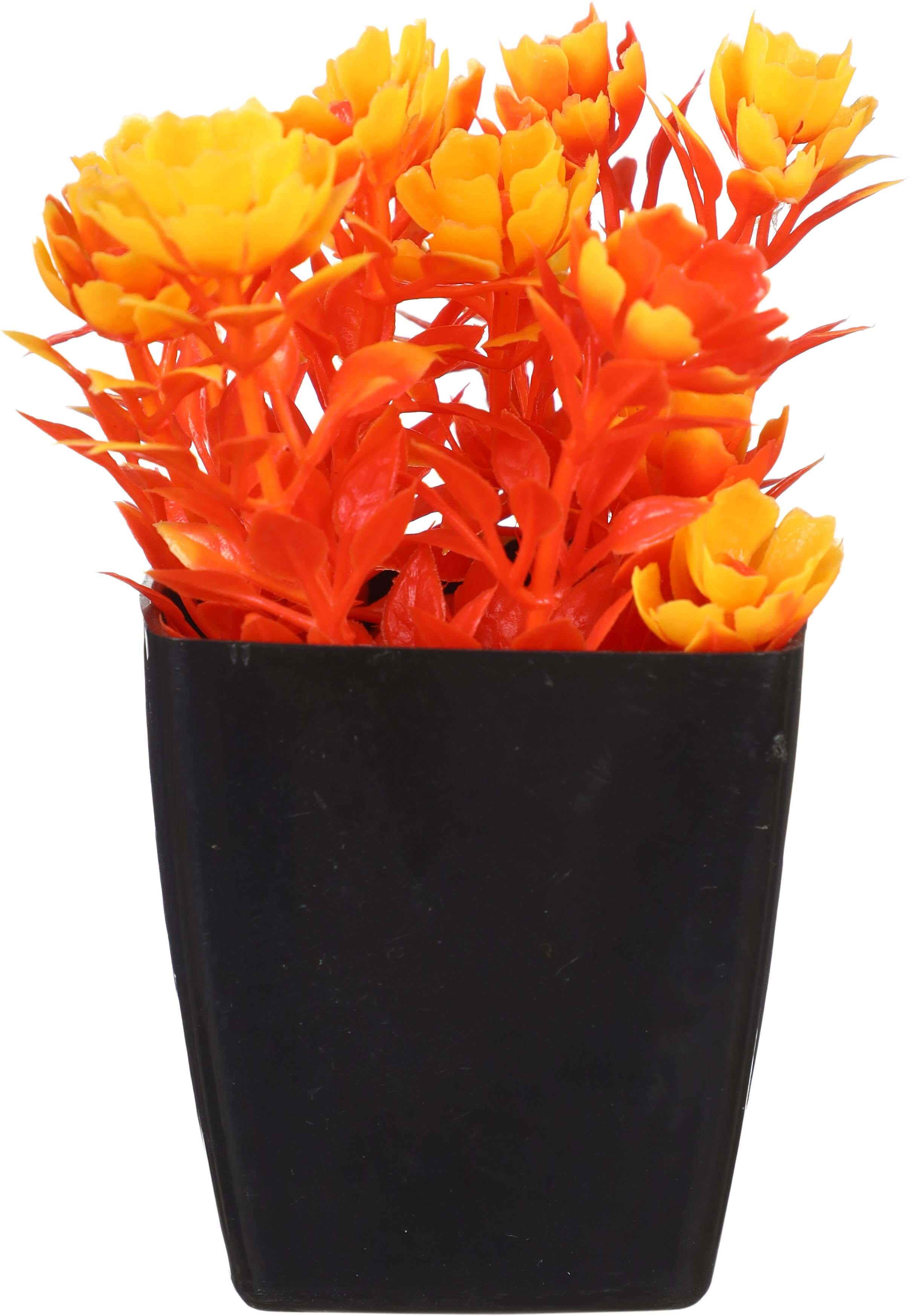 Square Plastic Vase, 5×7 cm - Orange Black
