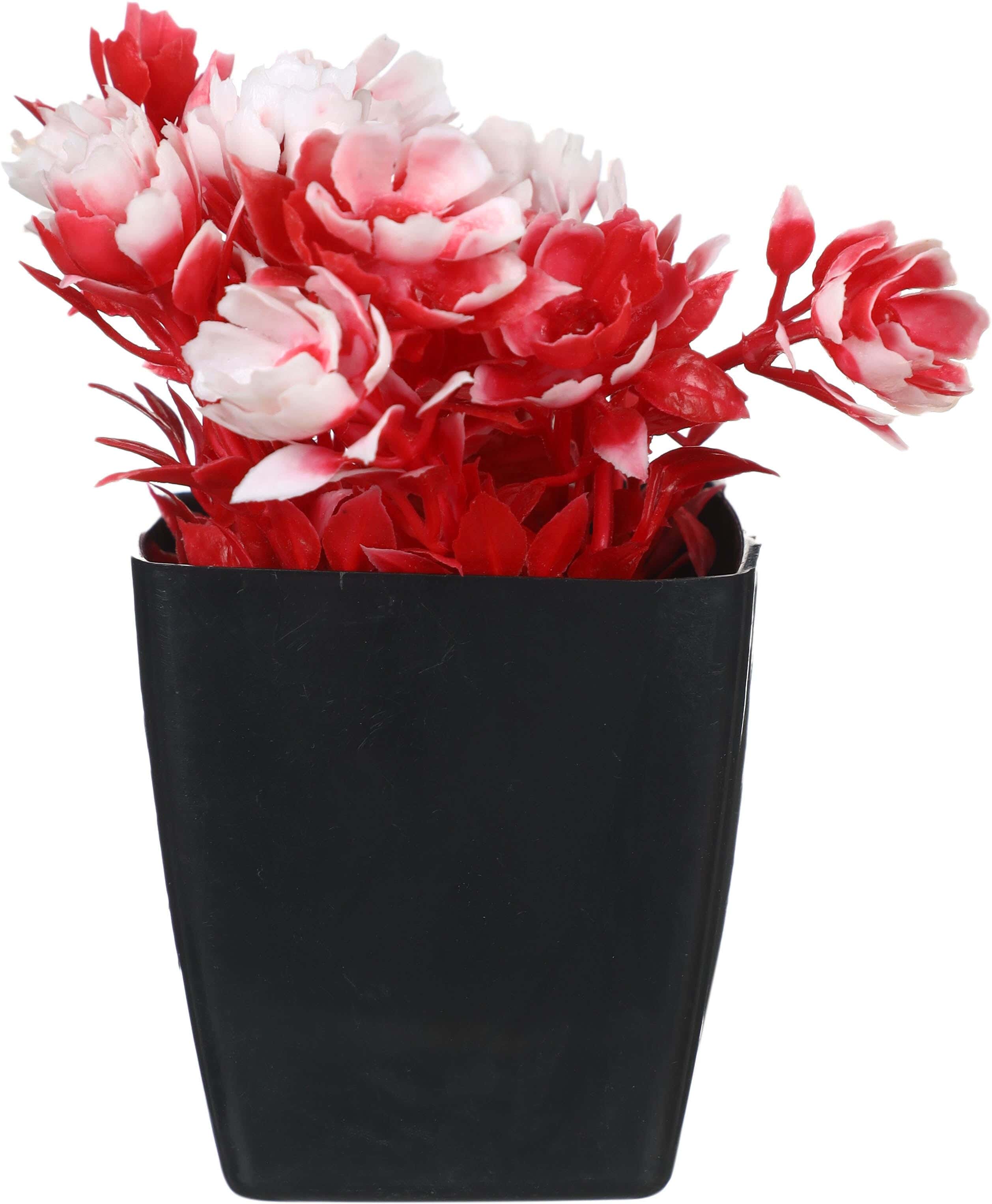 Square Plastic Vase, 5×7 cm - Red White