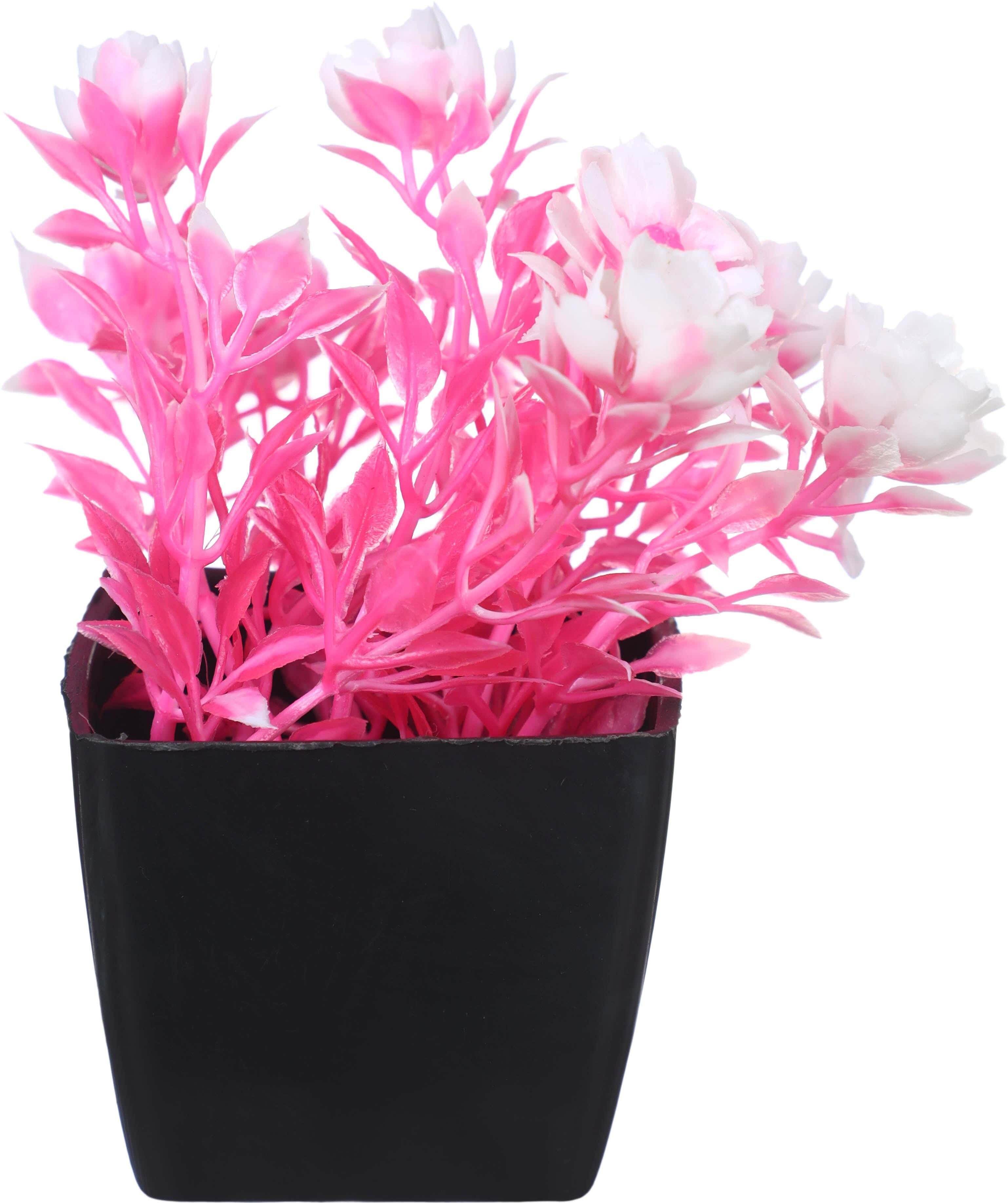 Square Plastic Vase, 5×4 cm - Pink White