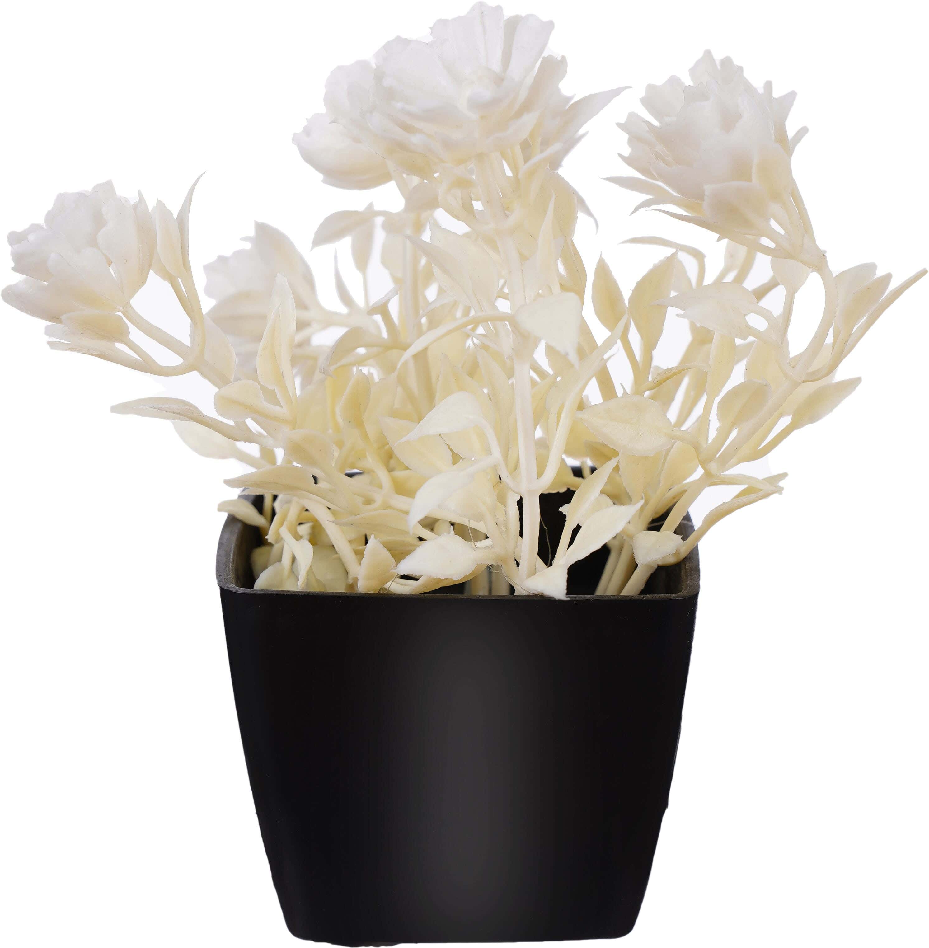 Square Plastic Vase, 5×4 cm - White