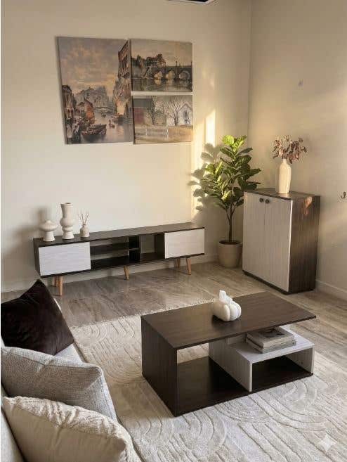 TV stand, coffee table, and shoe rack set, 3 pieces, MDF - brown beige