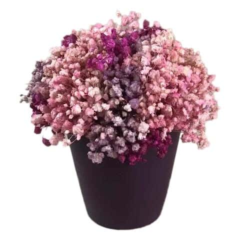Pottery Flowers Pot, 8×9 cm - Dark Mauve