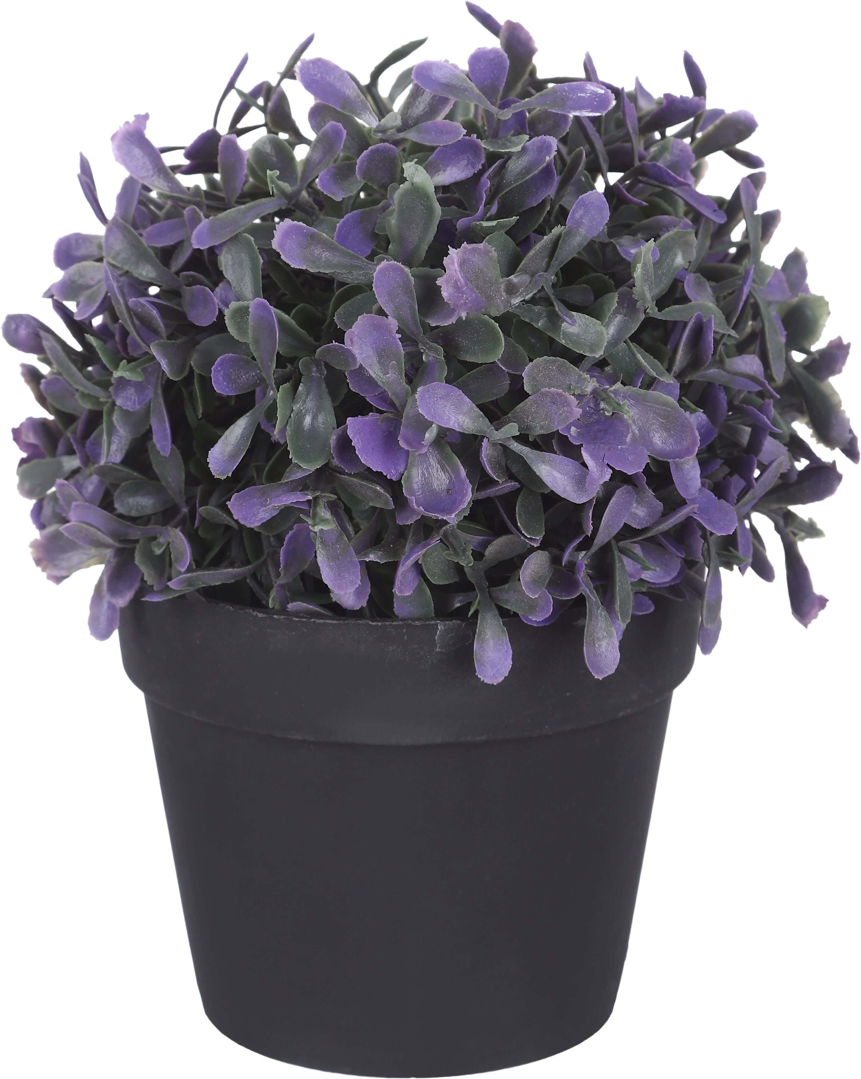 فازه بلاستيك بالورد مستديرة، 8×8 سم - اخضر موف