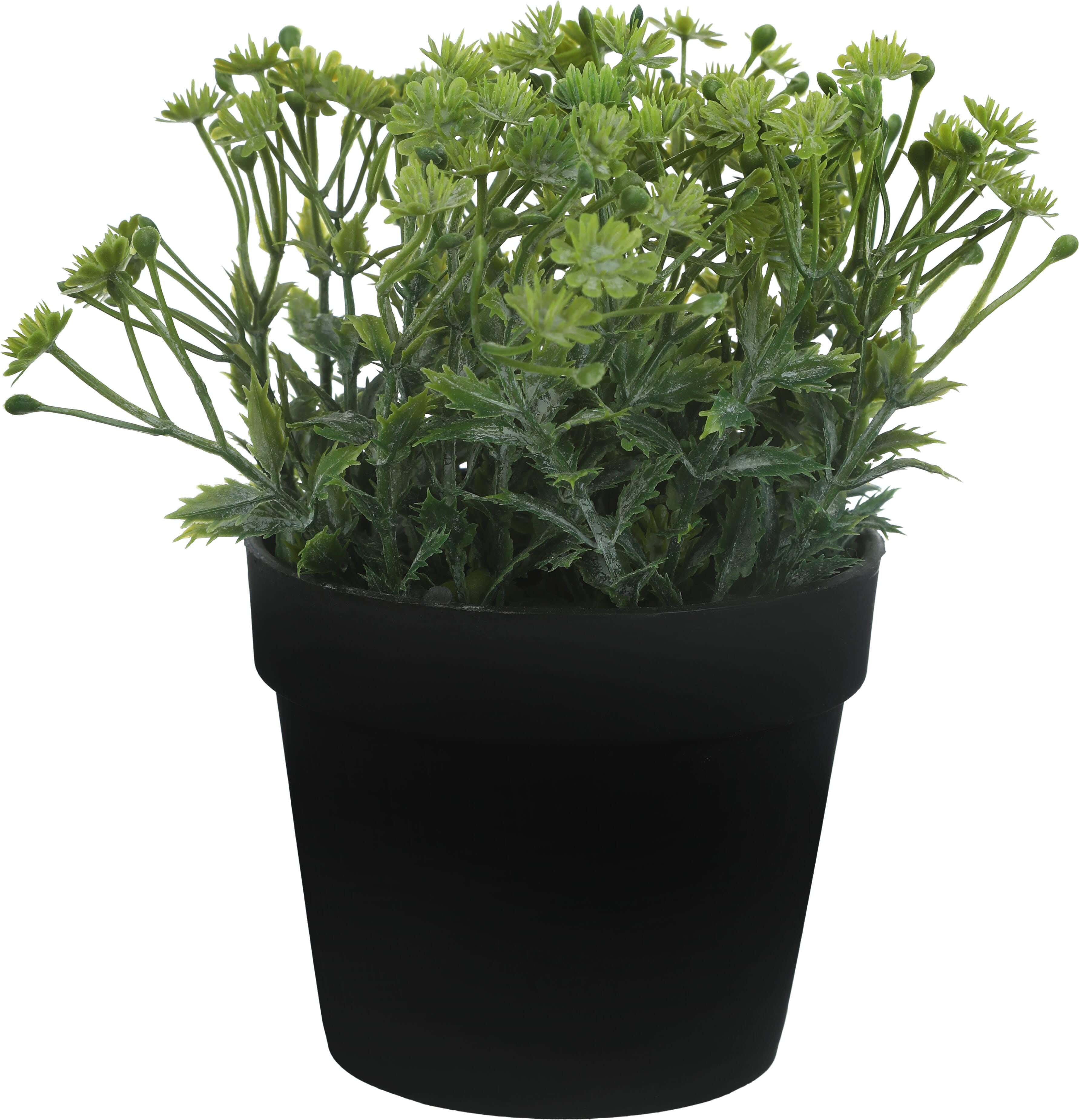 Round Plastic Vase, 9×8 Cm - Black Green