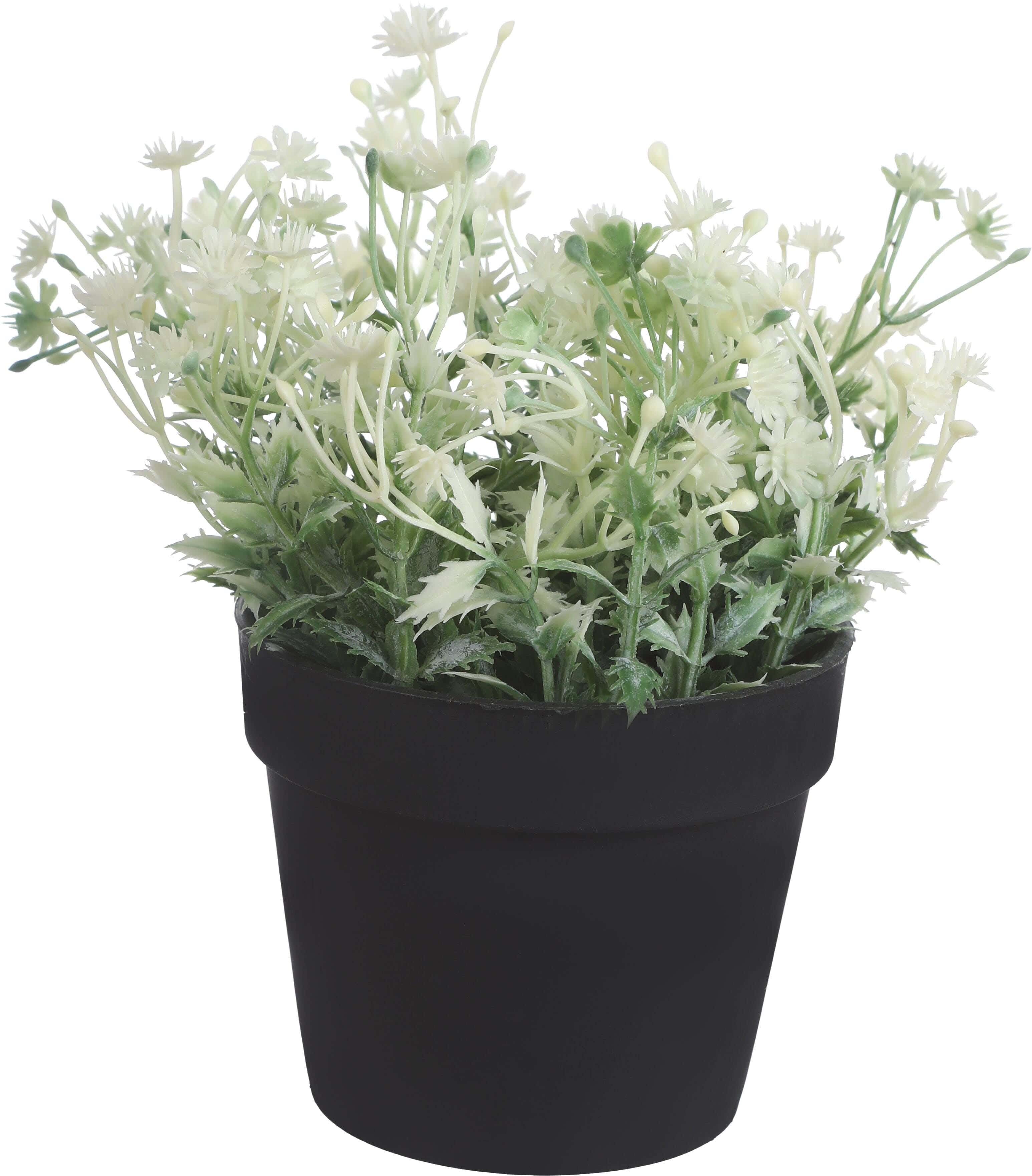 Round Plastic Vase, 9×8 Cm - Black White