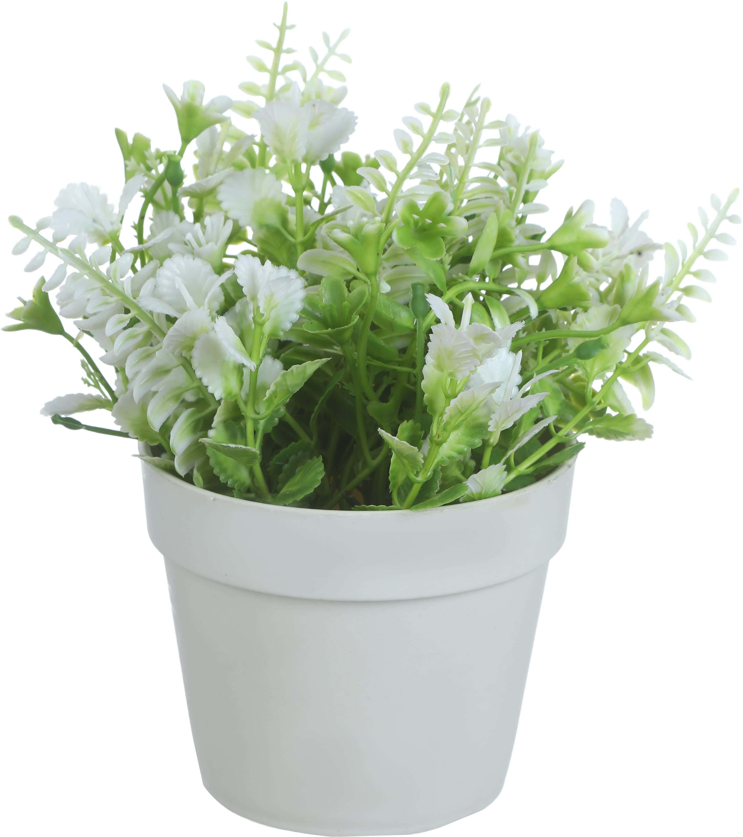 Round Plastic Vase, 11×8 Cm - White Green