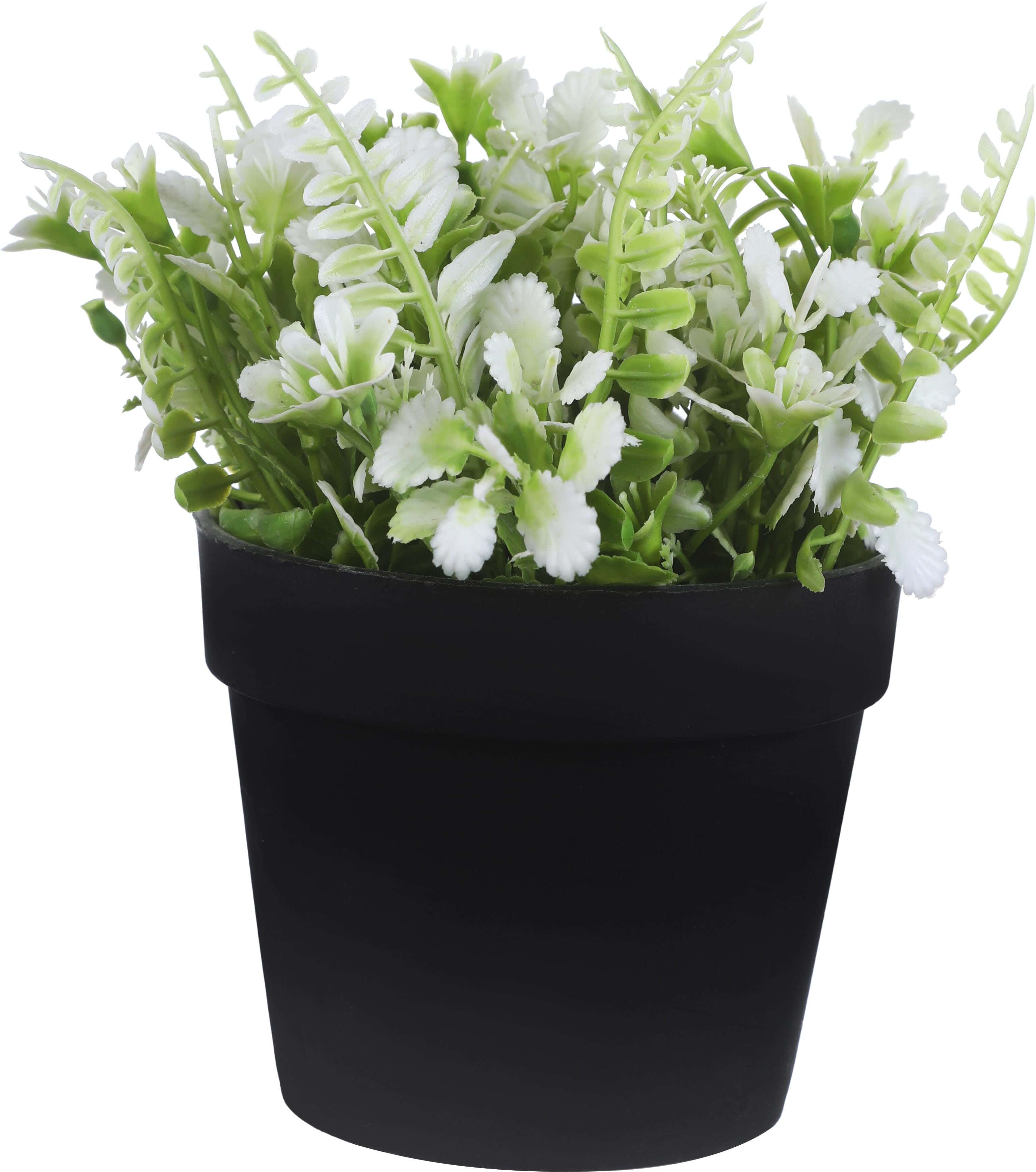 Round Plastic Vase, 11×8 Cm - Black White