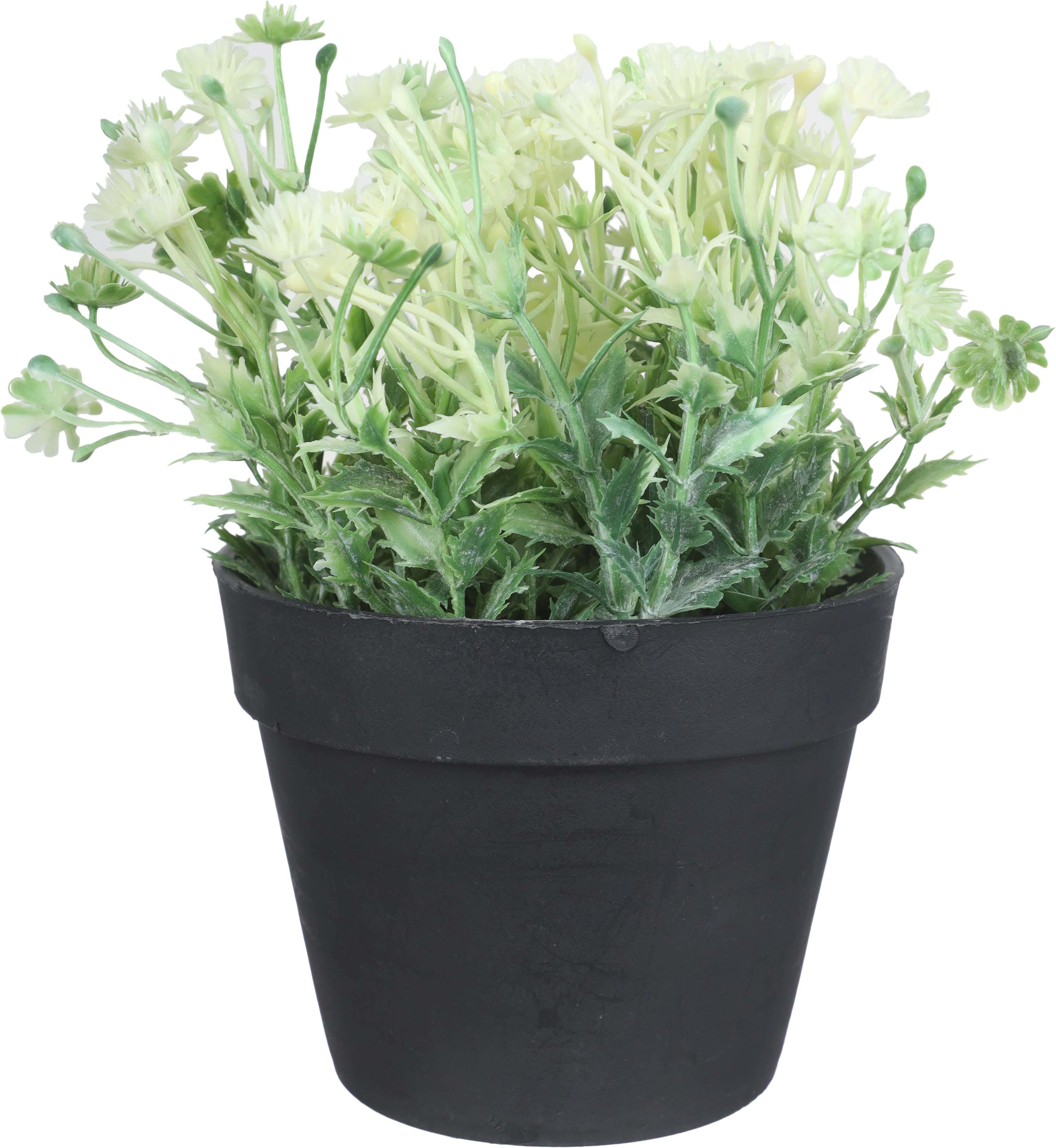 Plastic Artificial Flower Vase, 9 cm - Black Green