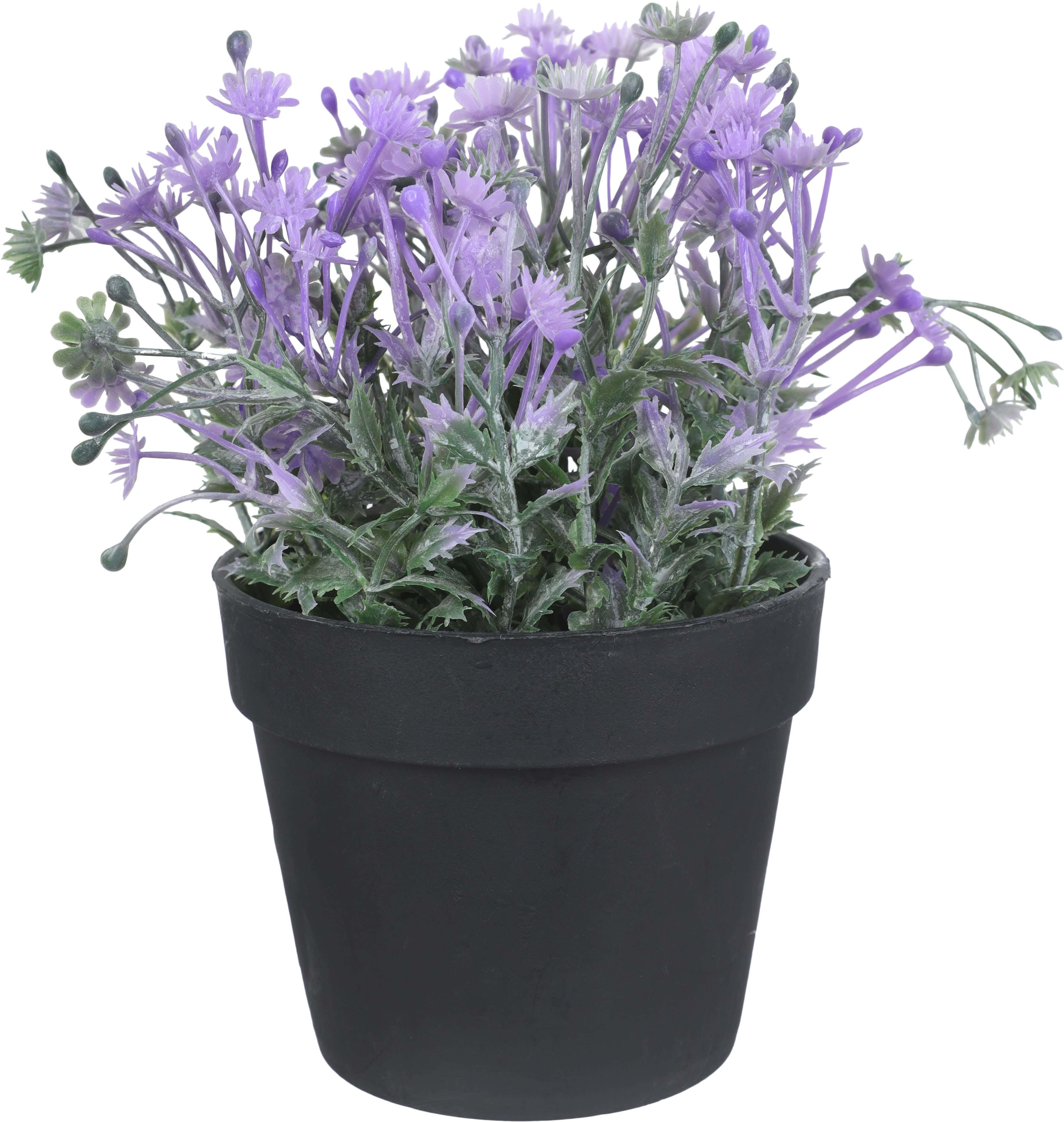 Plastic Artificial Flower Vase, 9 cm - Mauve Green