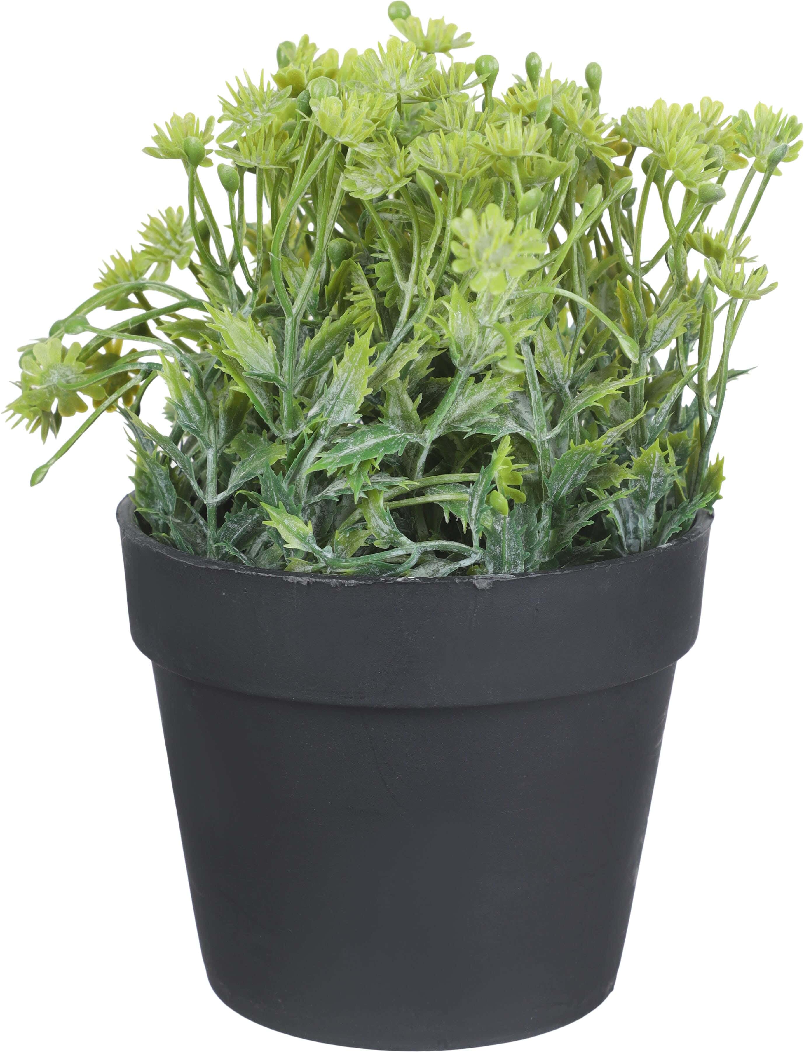 Plastic Artificial Flower Vase, 9 cm - Black Green