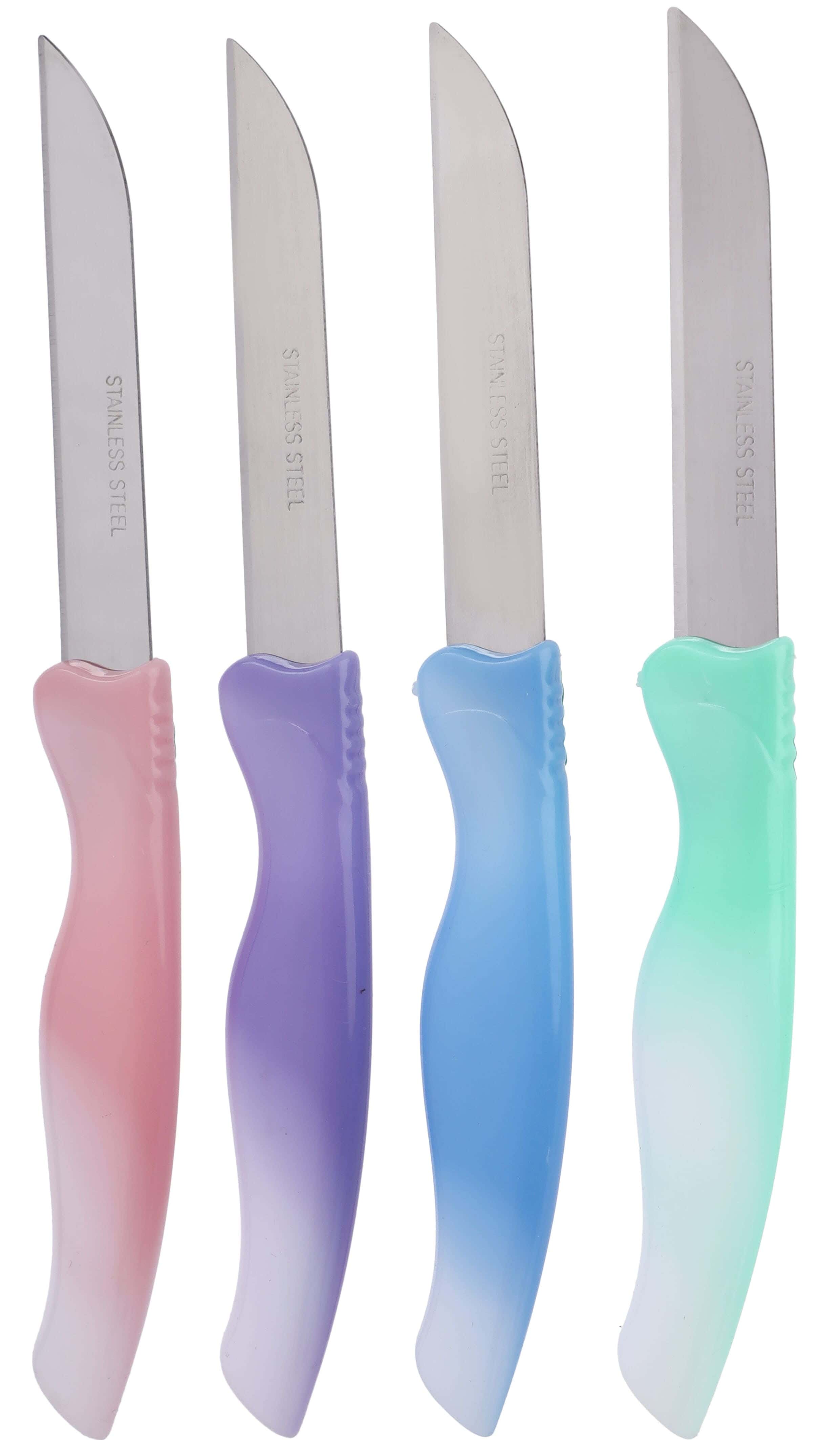 Stainless Steel Knife Set with Plastic Handle, 4 Pieces, 3 Inch - Multicolor