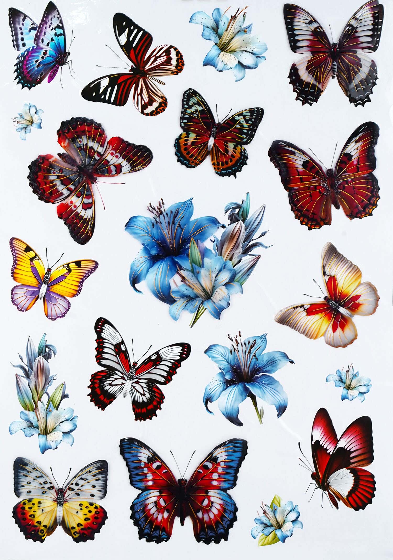 Double-Sided Plastic Sticker Card, 50×35 Cm - Multicolor