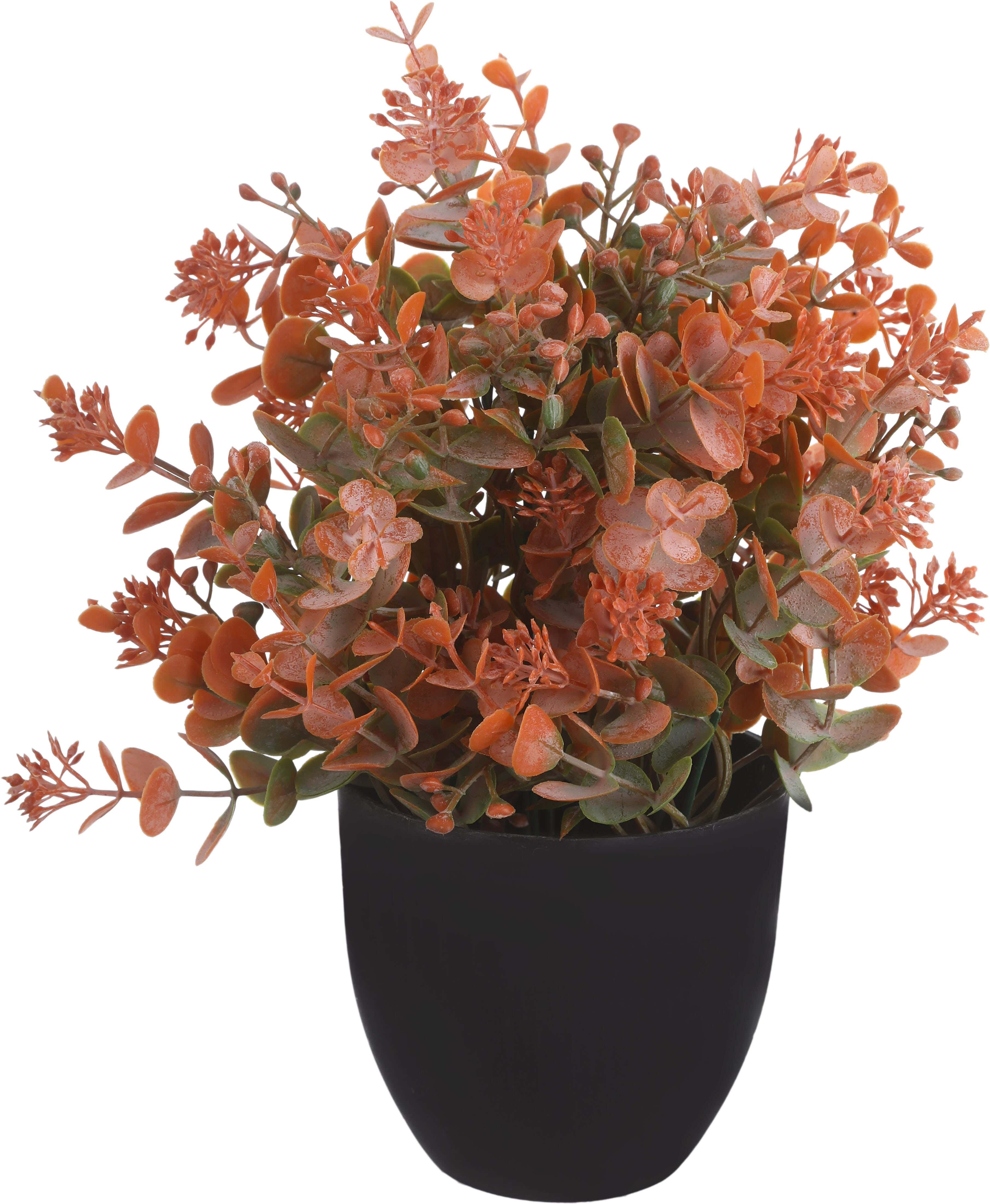 Round Plastic Vase, 12×11 Cm - Black Orange