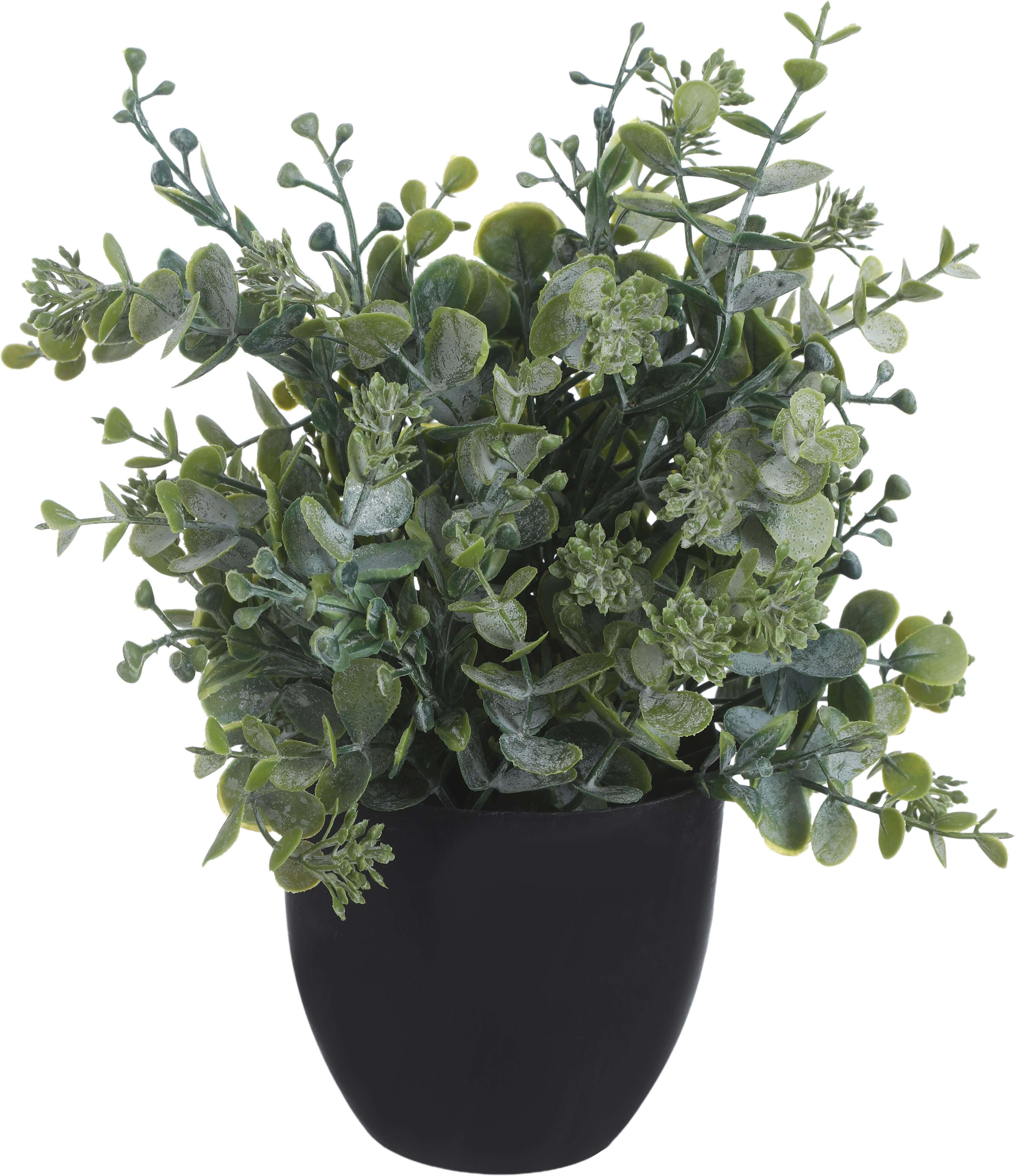 Round Plastic Vase, 12×11 Cm - Black Green