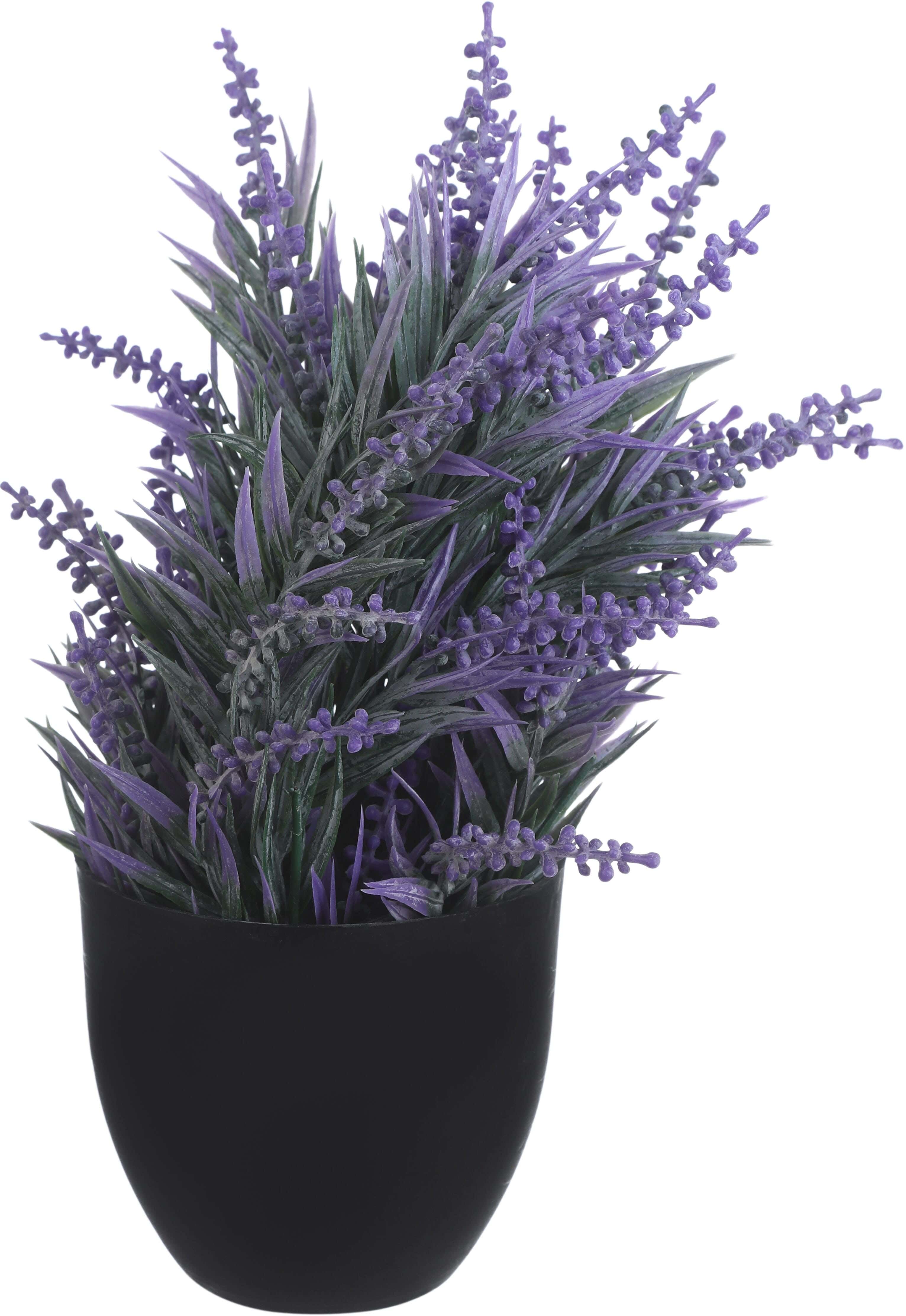 Round Plastic Vase, 12×11 Cm - Black Mauve