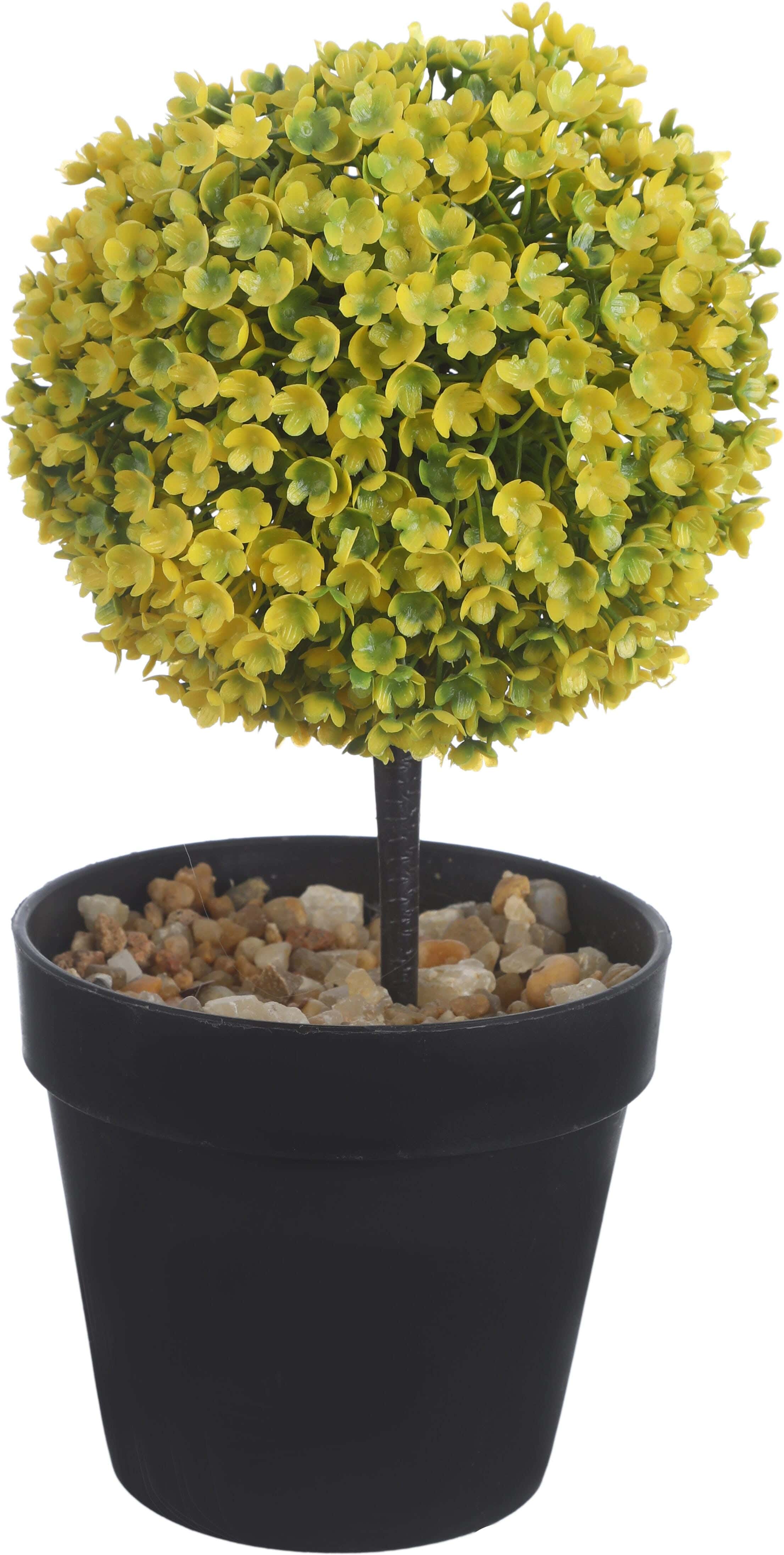 Round Plastic Vase, 12×11 Cm - Black Yellow