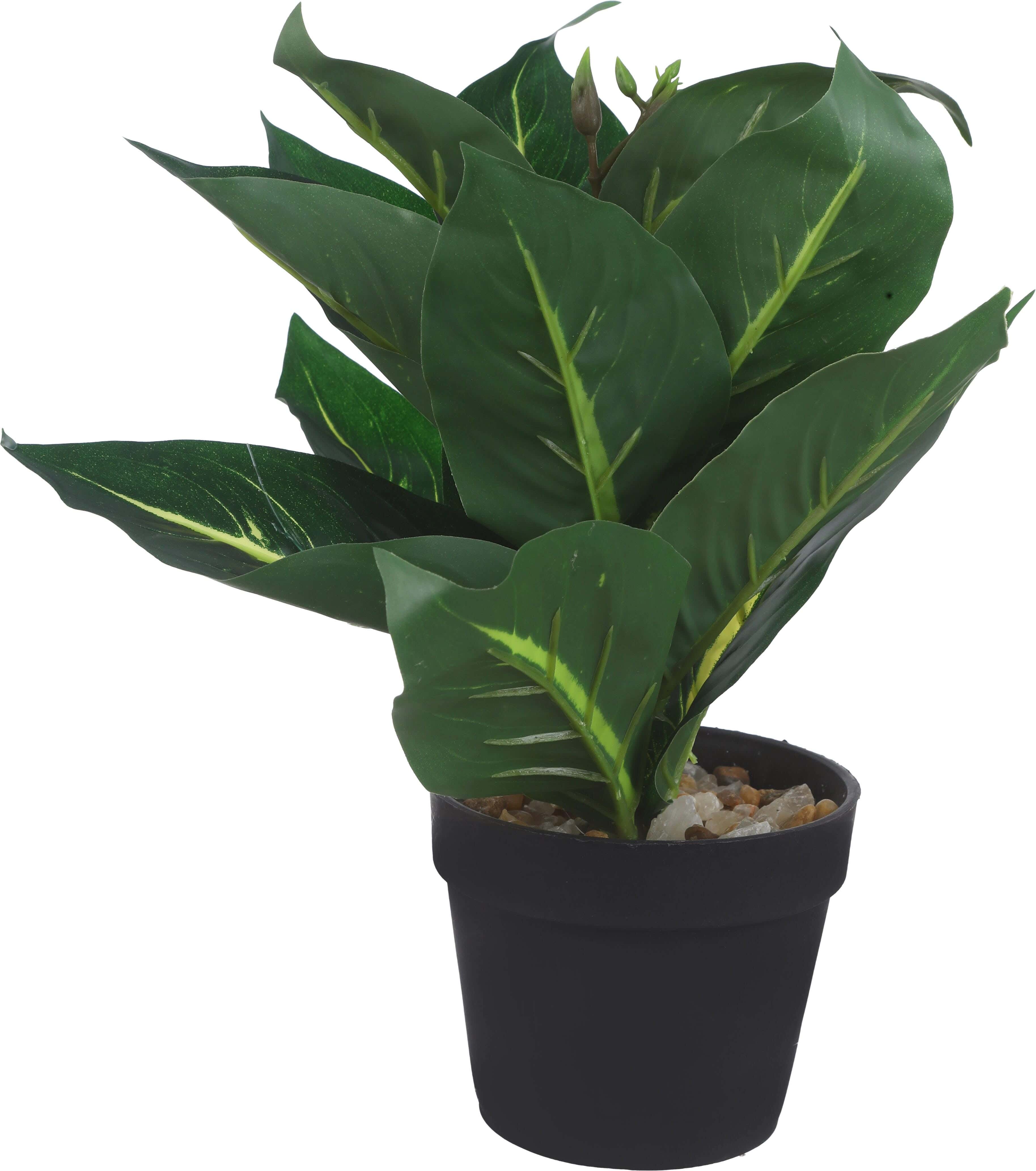 Round Plastic Vase, 9×8 Cm - Black Green
