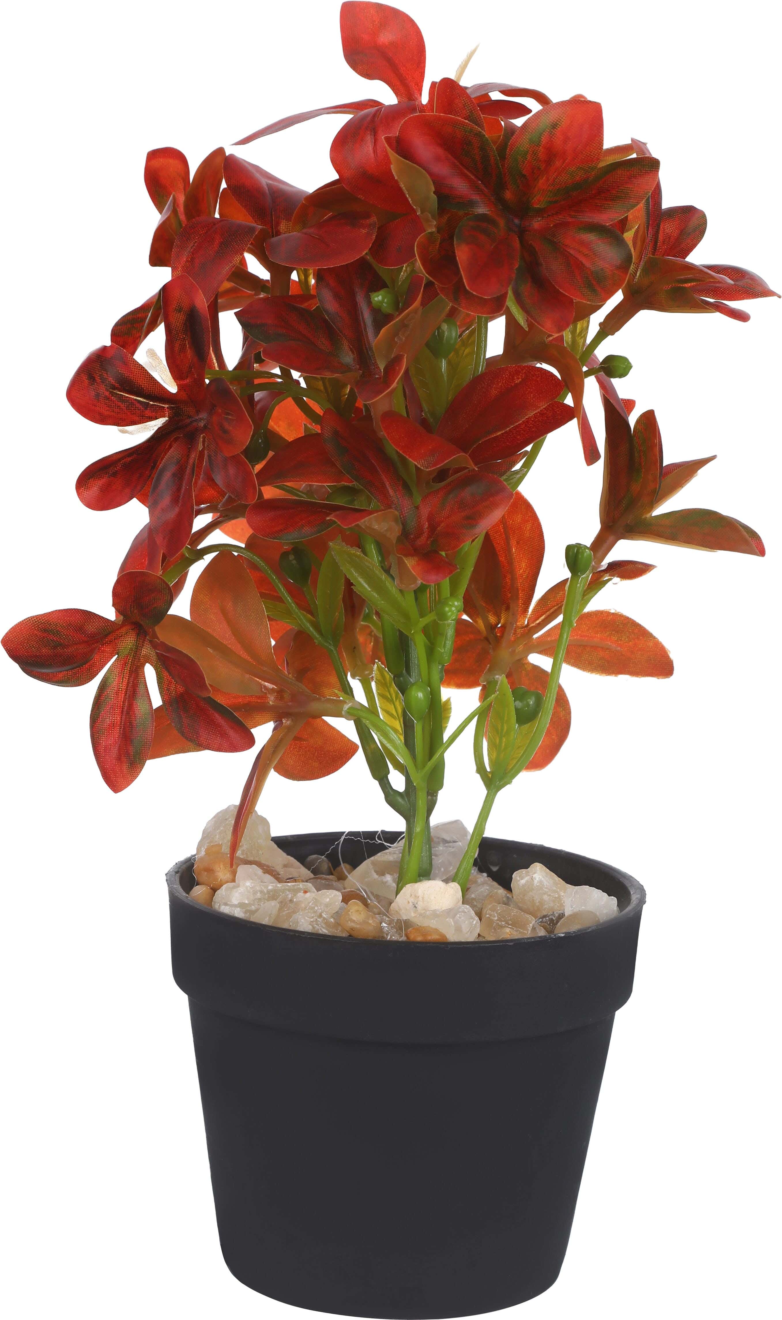 Round Plastic Vase, 9×8 Cm - Black Red