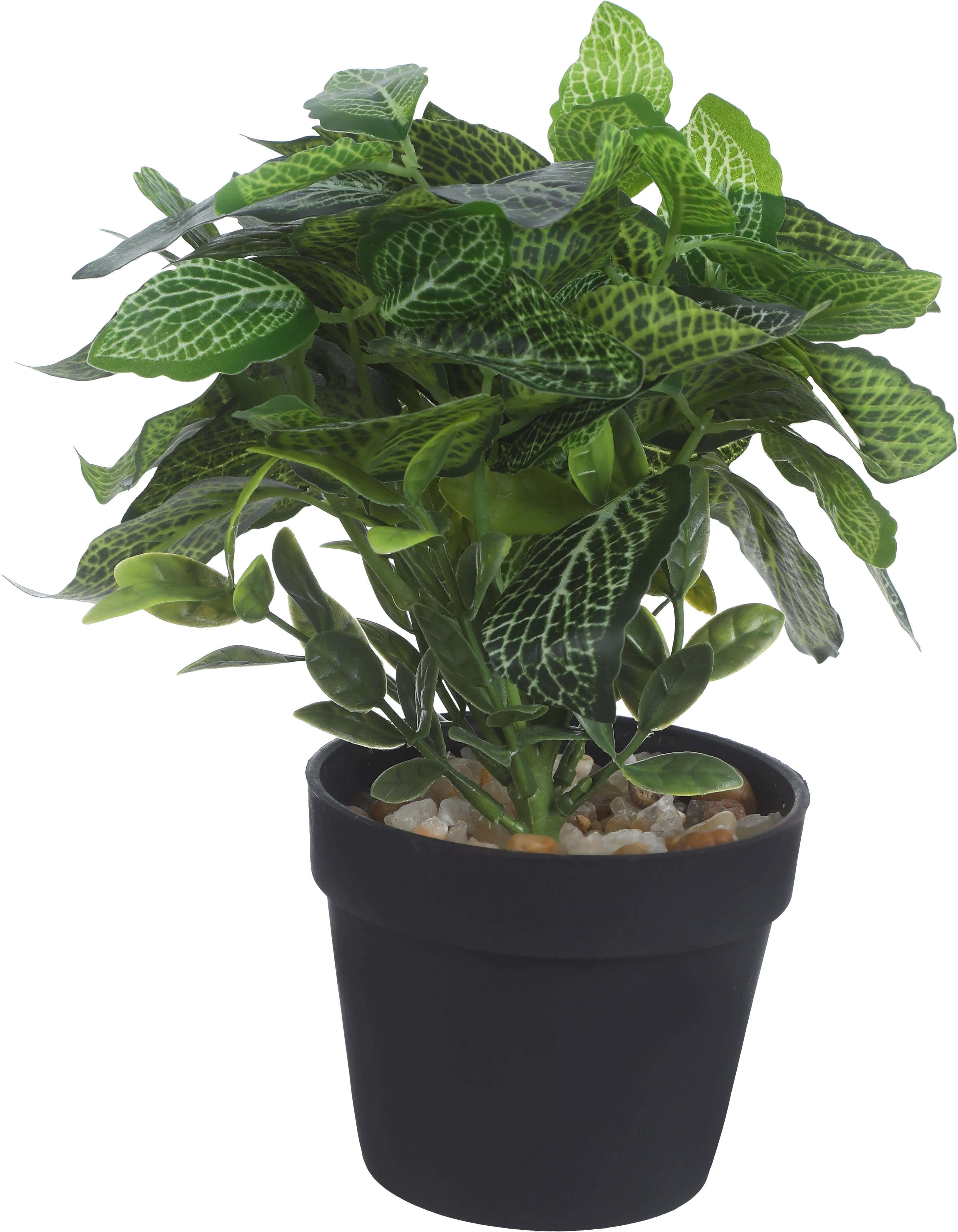 Round Plastic Vase, 9×8 Cm - Black Green