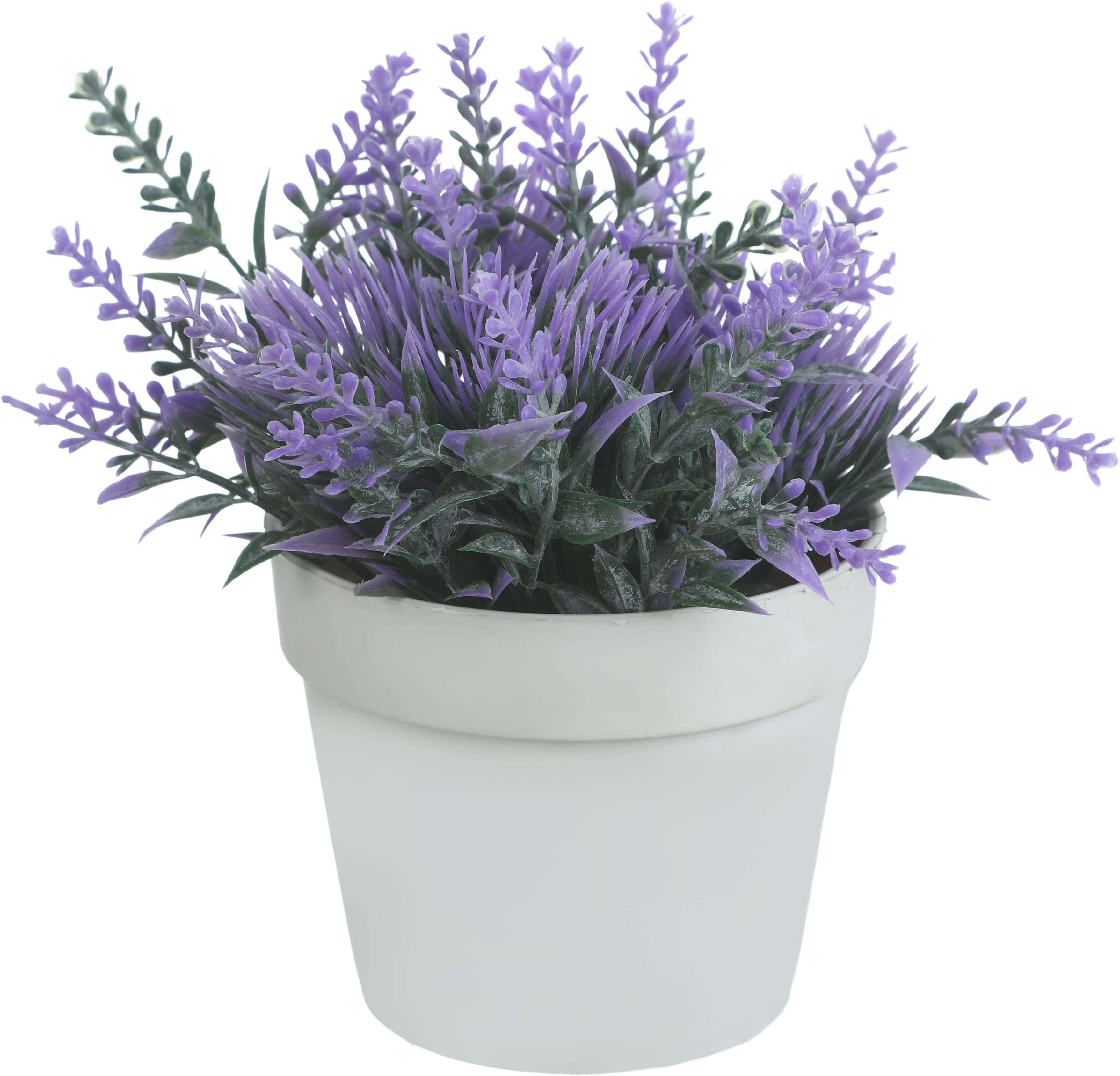 Round Plastic Vase, 9×8 Cm - White Mauve