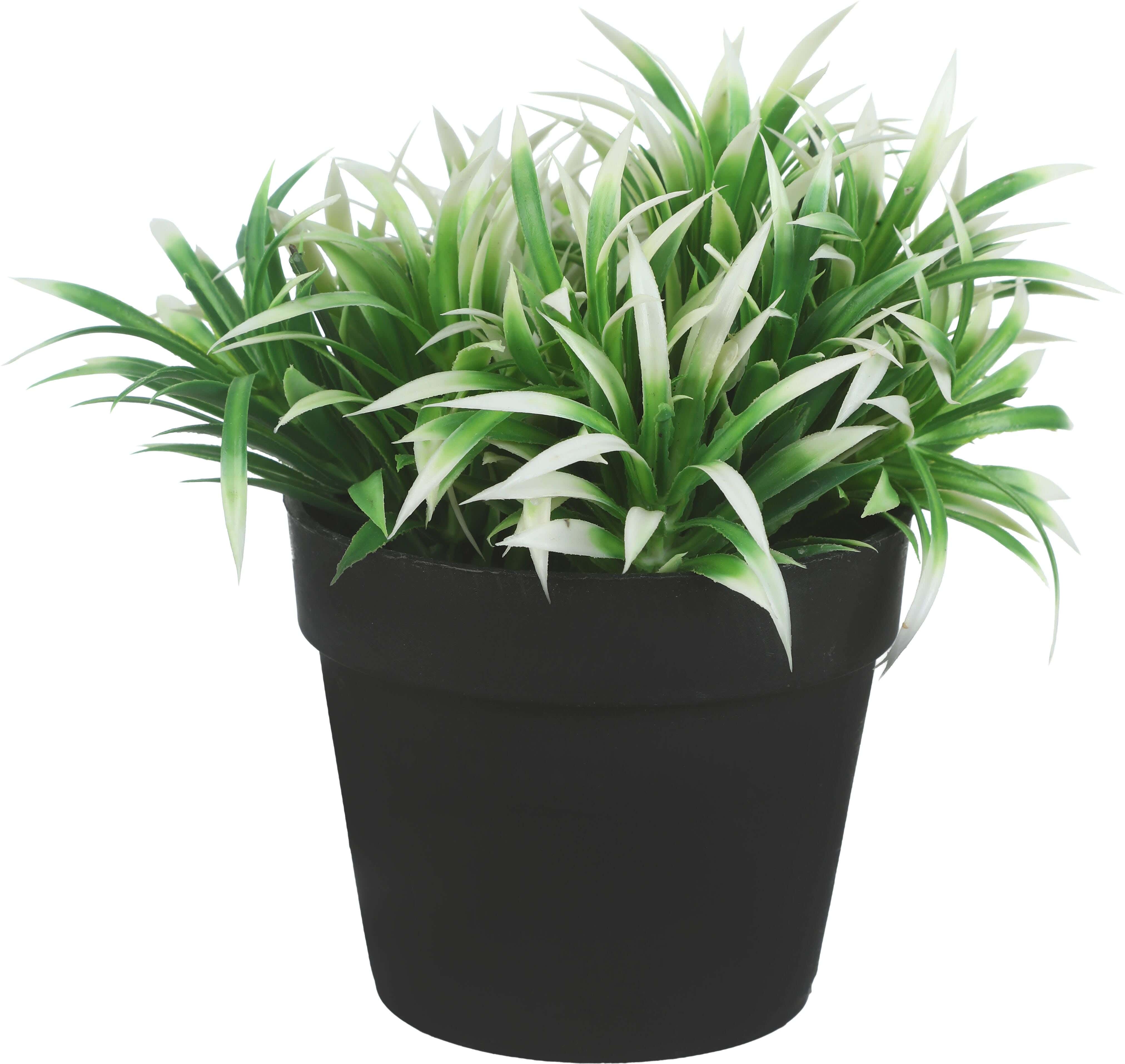 Round Plastic Vase, 9×8 Cm - Black White