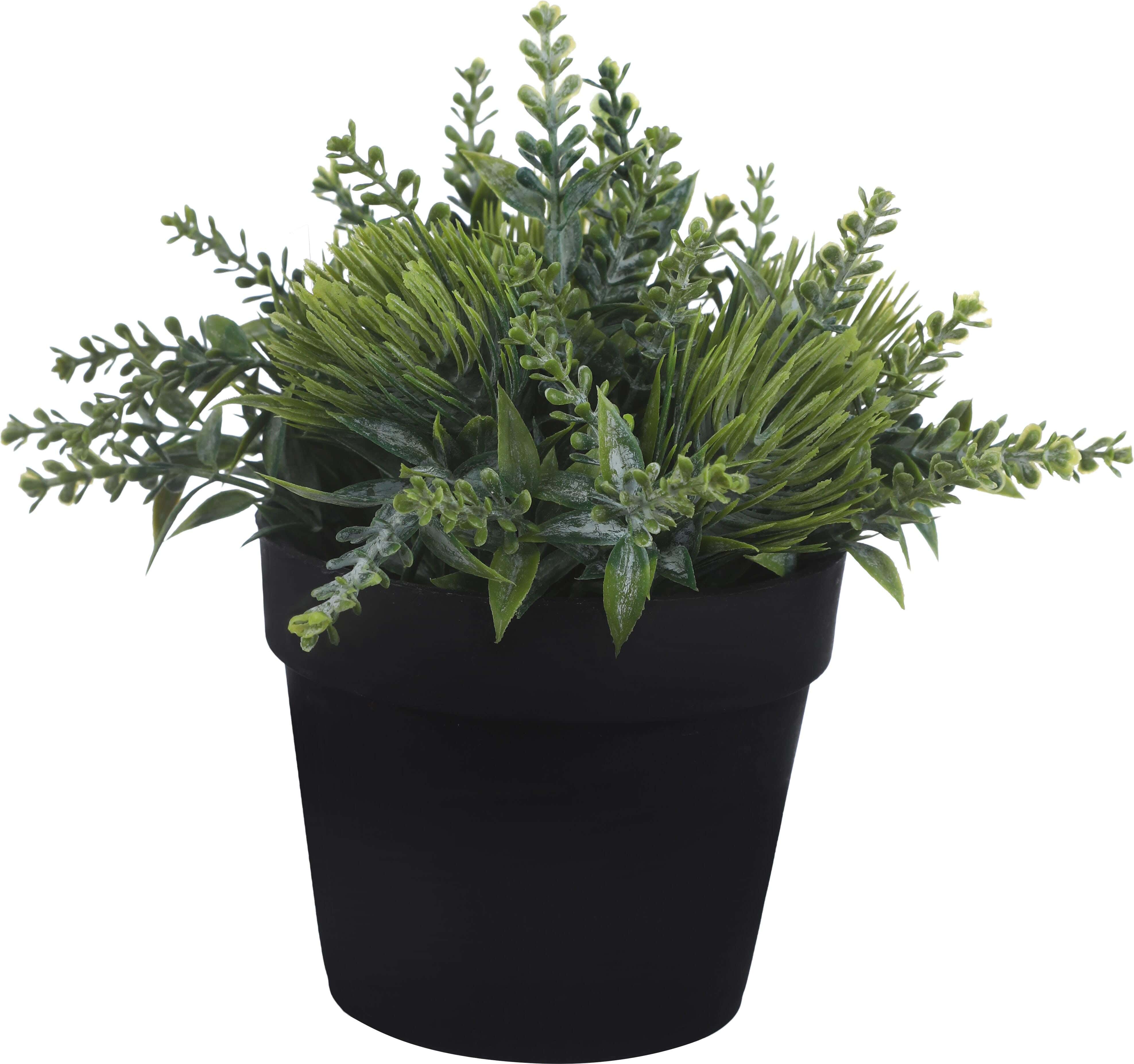 Round Plastic Vase, 9×8 Cm - Black Green