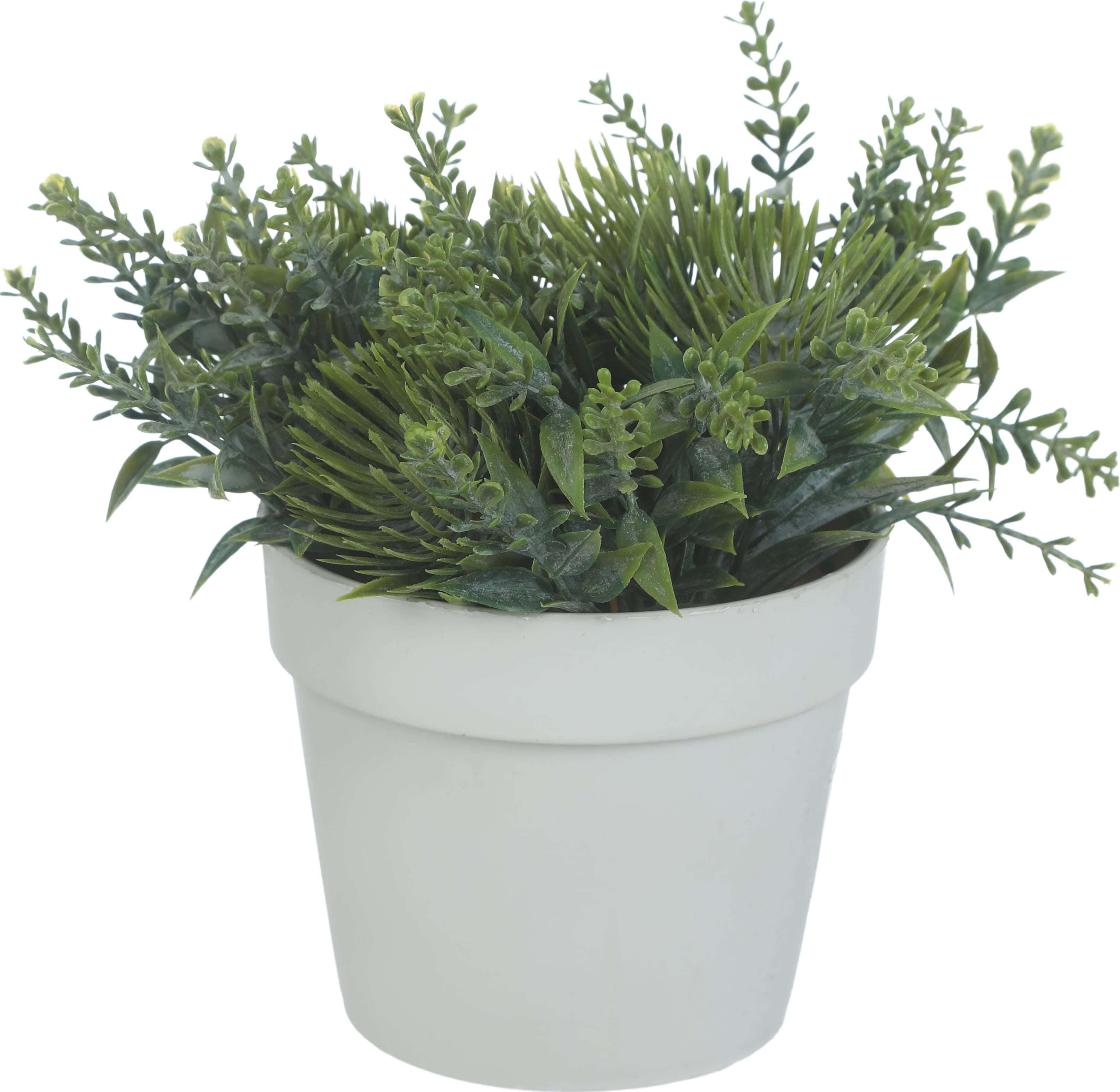 Round Plastic Vase, 9×8 Cm - White Green