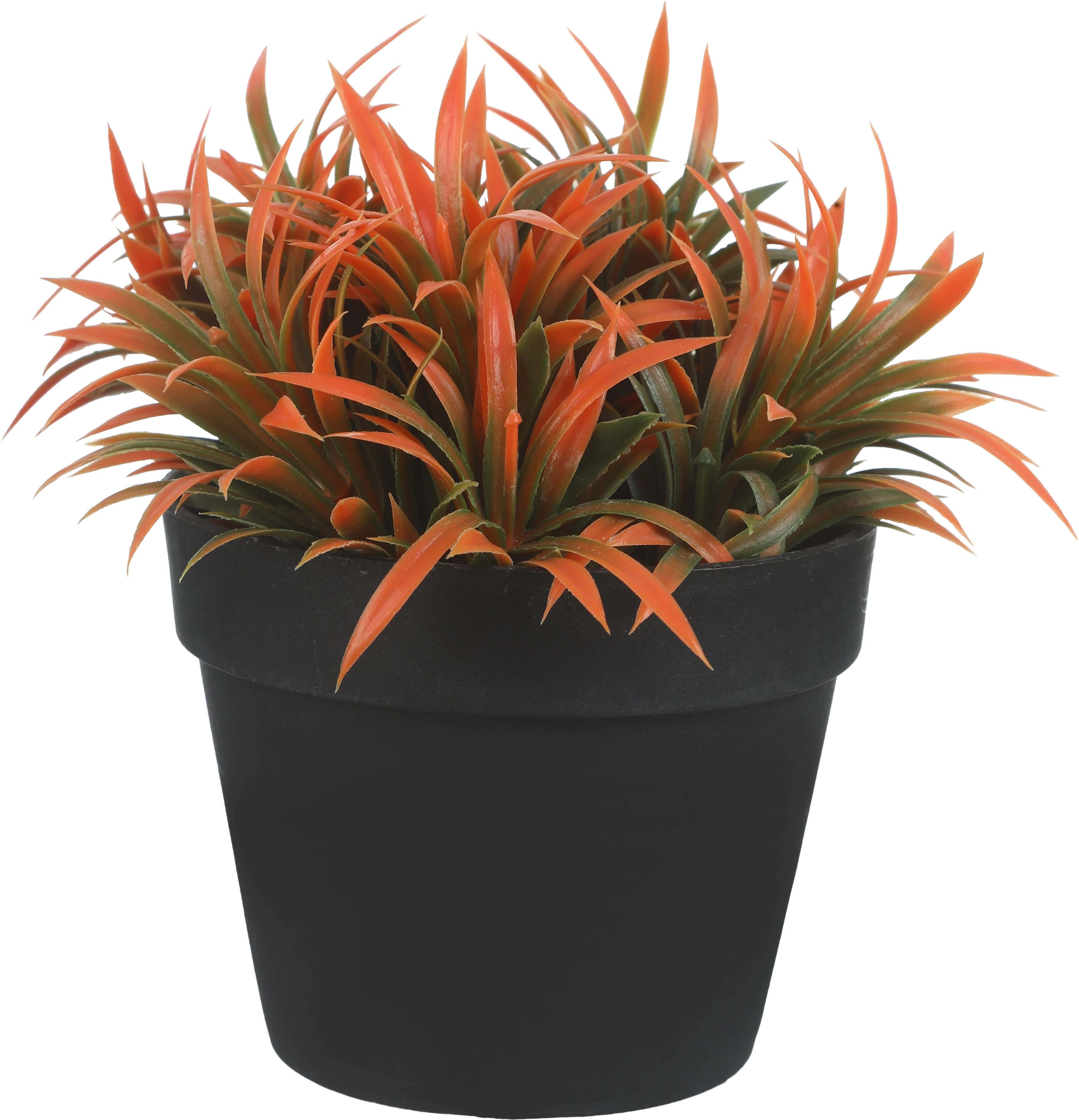 Round Plastic Vase, 9×8 Cm - Black Orange