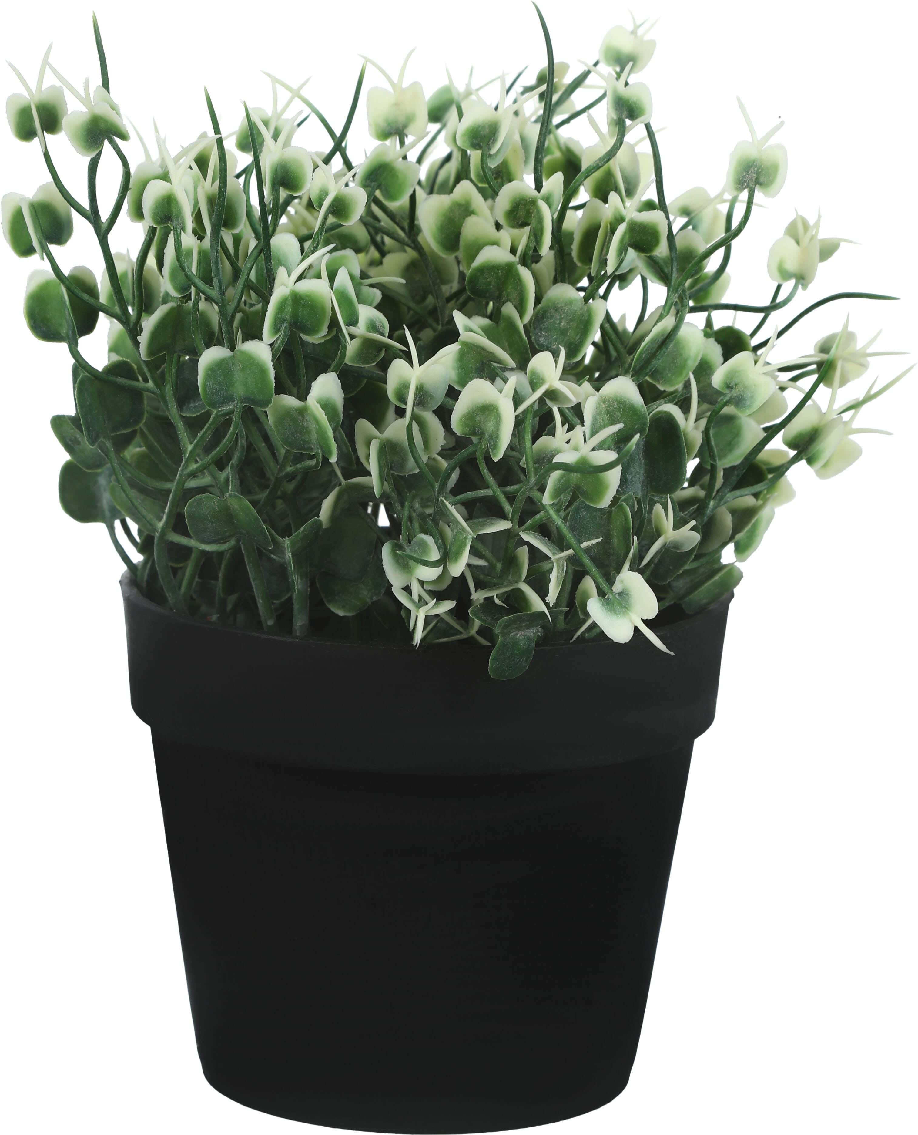 Round Plastic Vase, 9×8 Cm - Black Green
