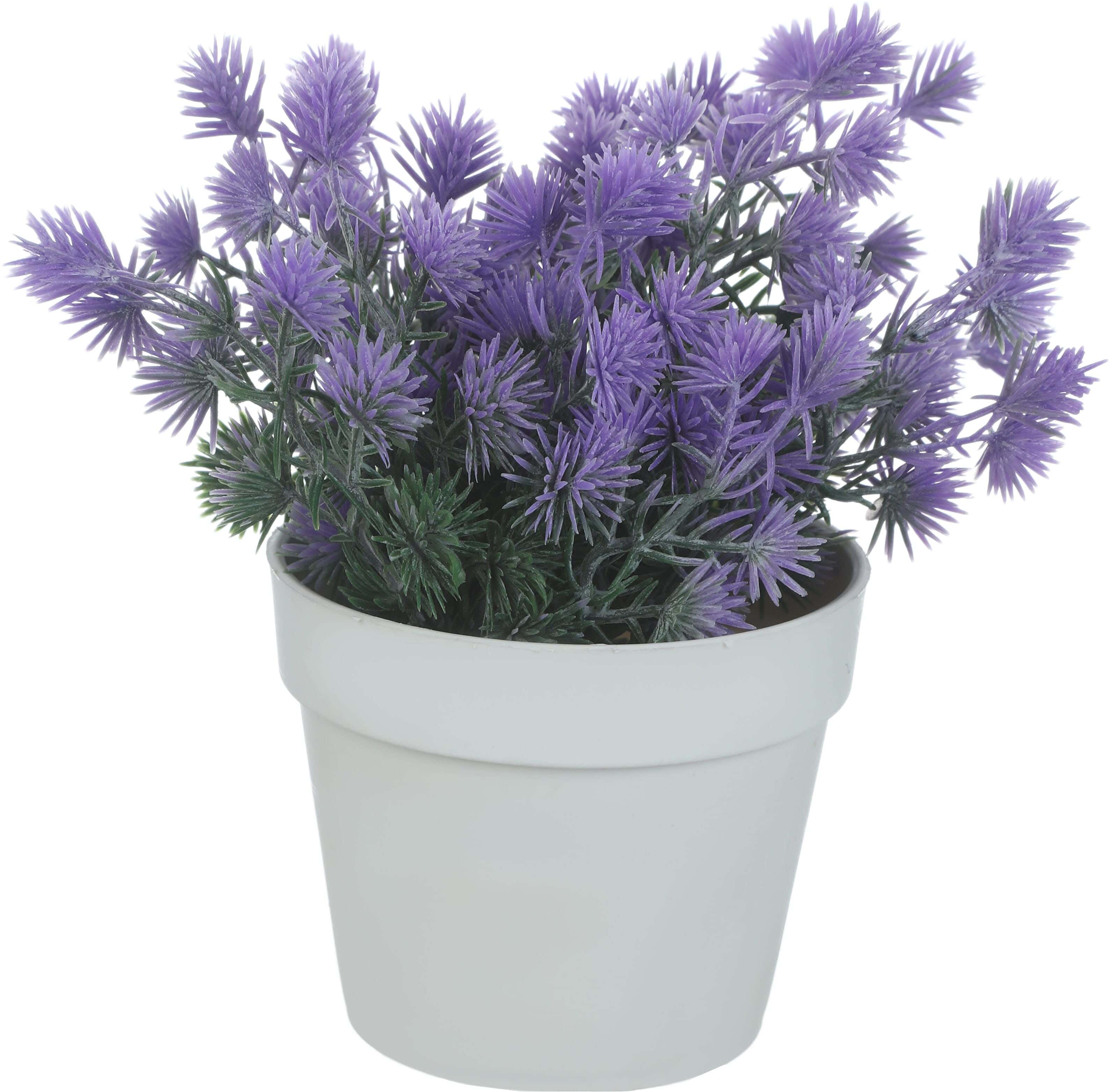 Round Plastic Vase, 9×8 Cm - White Mauve
