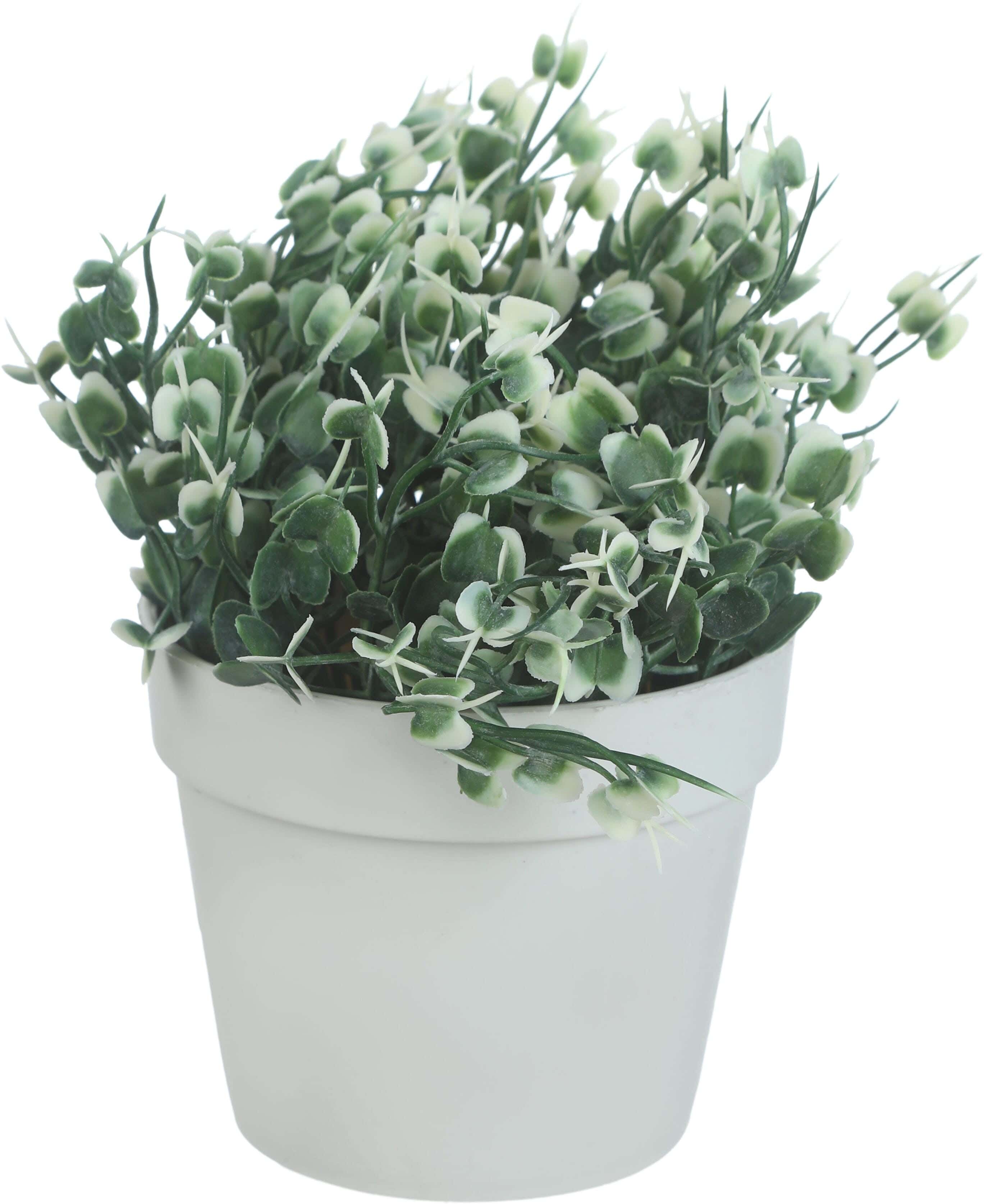 Round Plastic Vase, 9×8 Cm - White Green