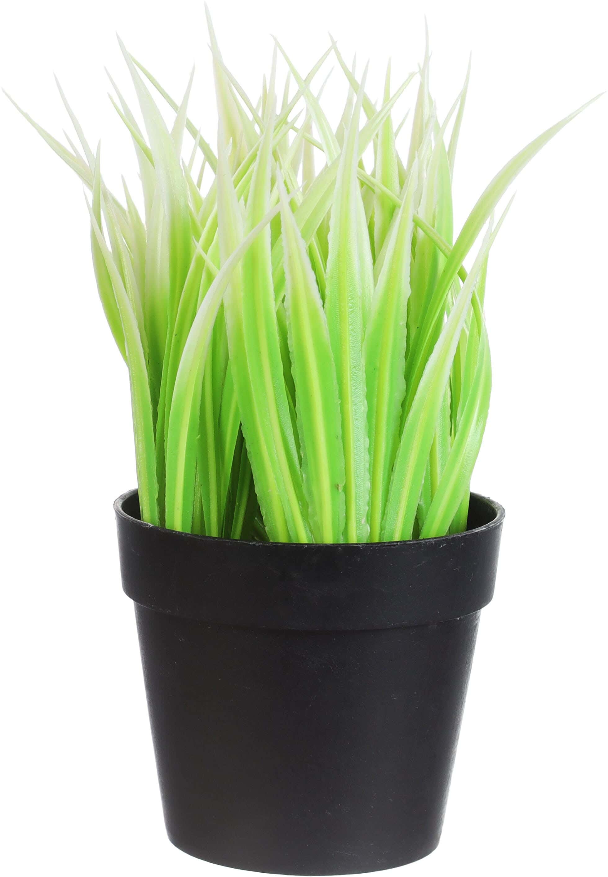 Round Plastic Vase, 8×7 cm - Green