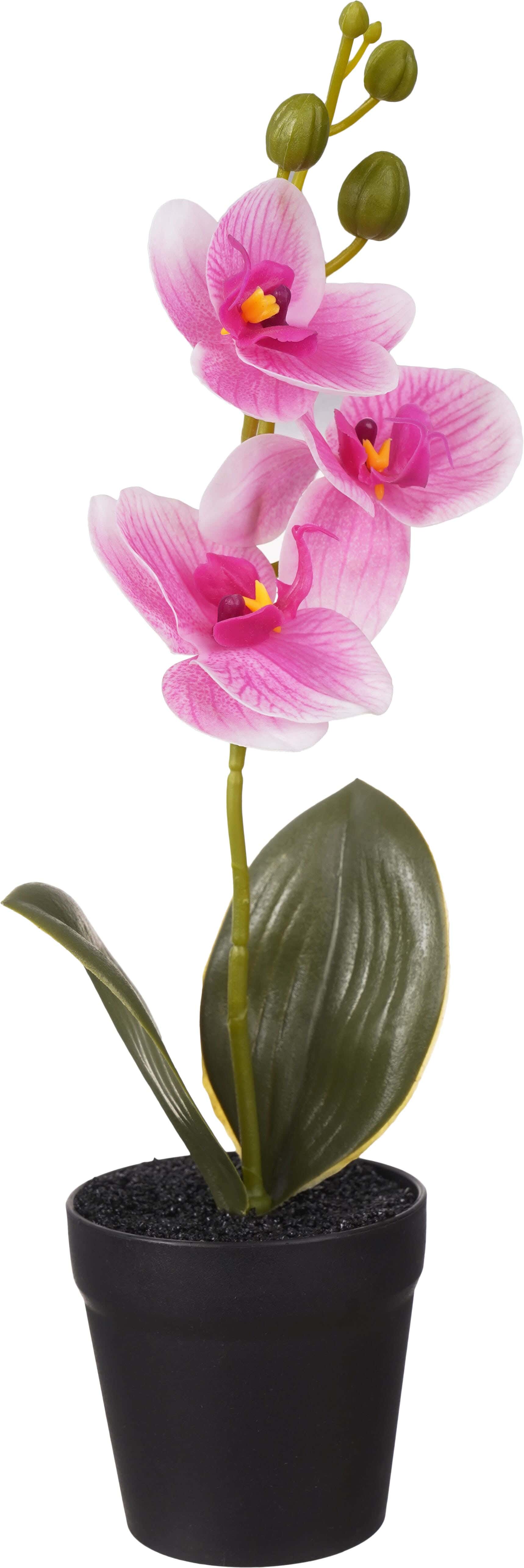 Plastic Vase With Artificial Flowers, 33 cm - Black Mauve