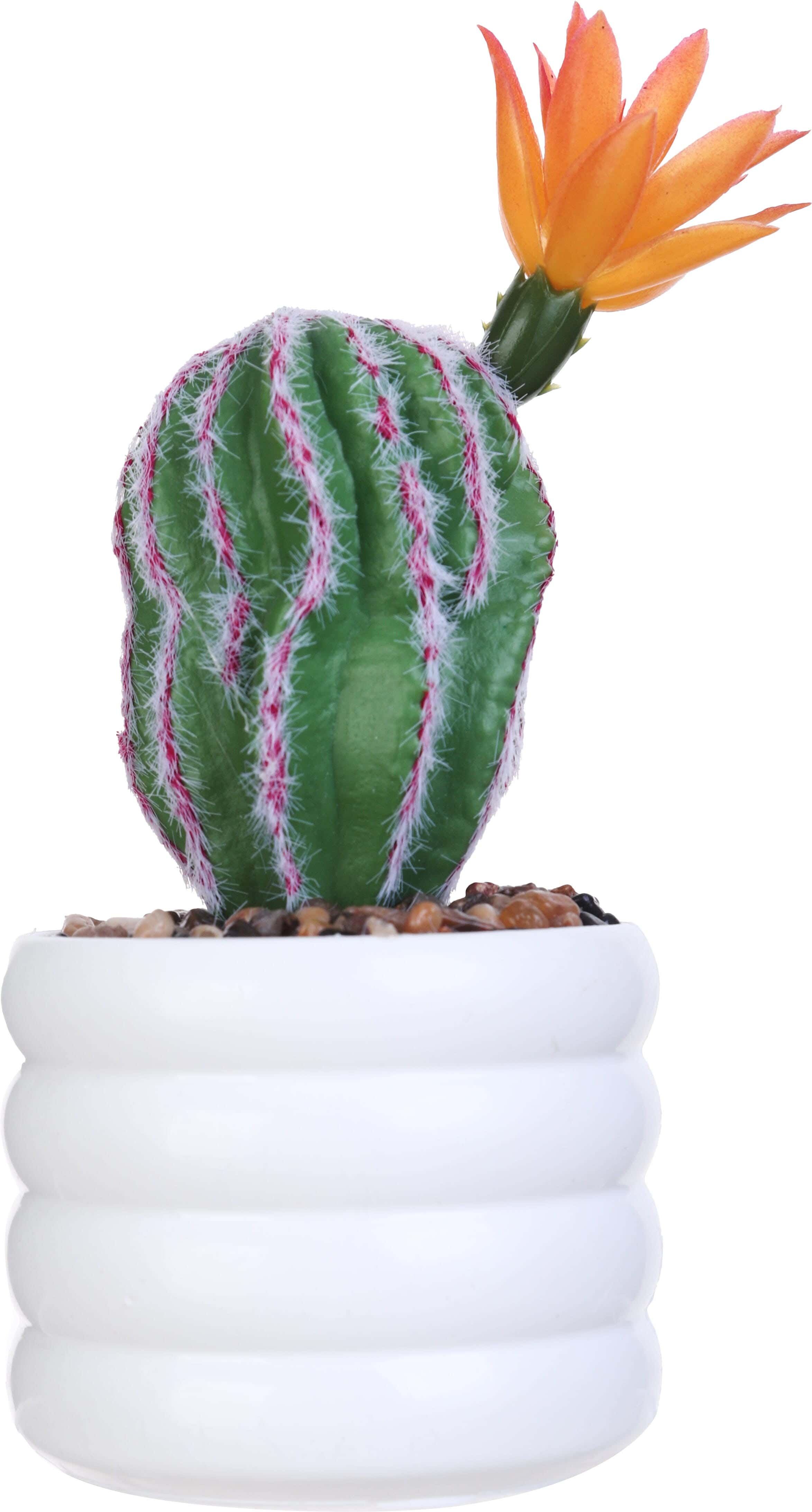 Artificial Flower Vase Cactus with Flower with Plastic Base, 14 cm - White Green