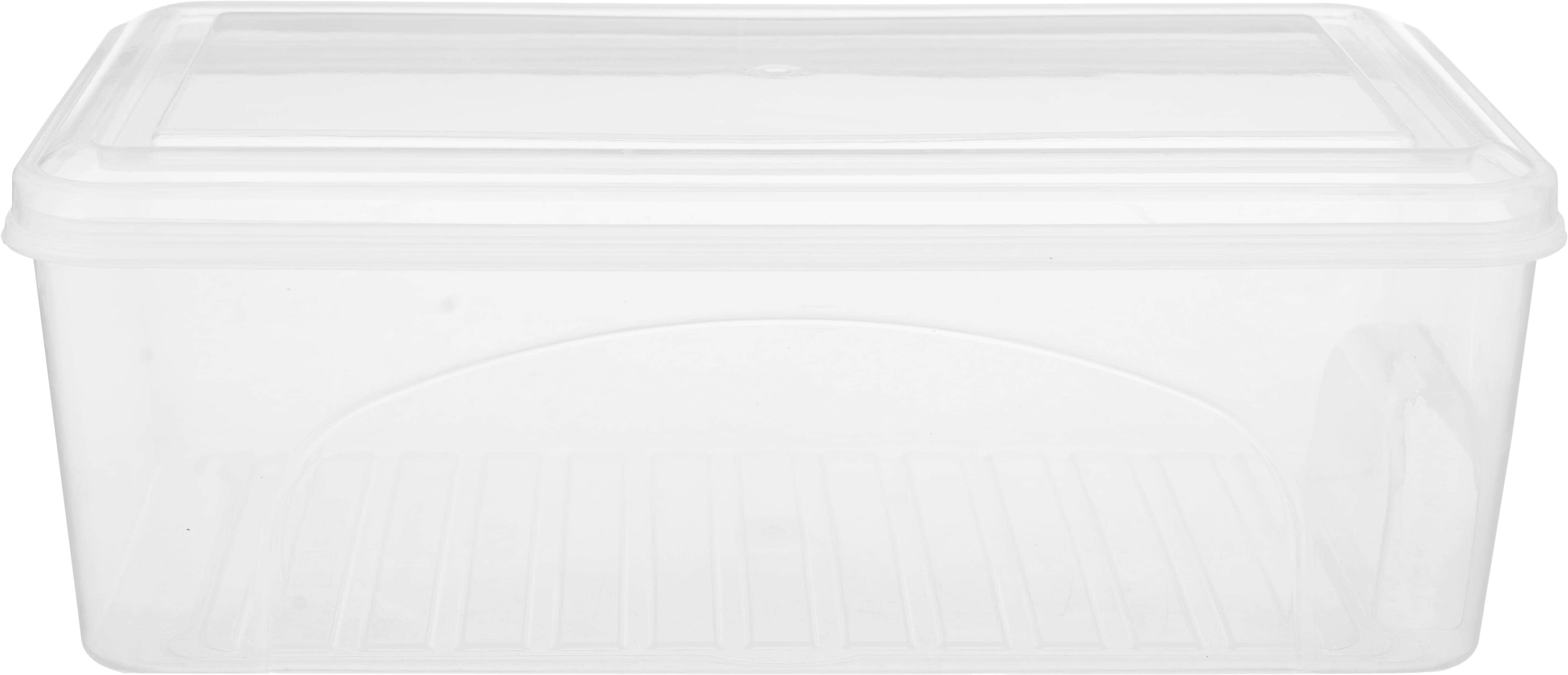 Elite Plastic Refrigerator Organizer, 15×29 cm - Clear