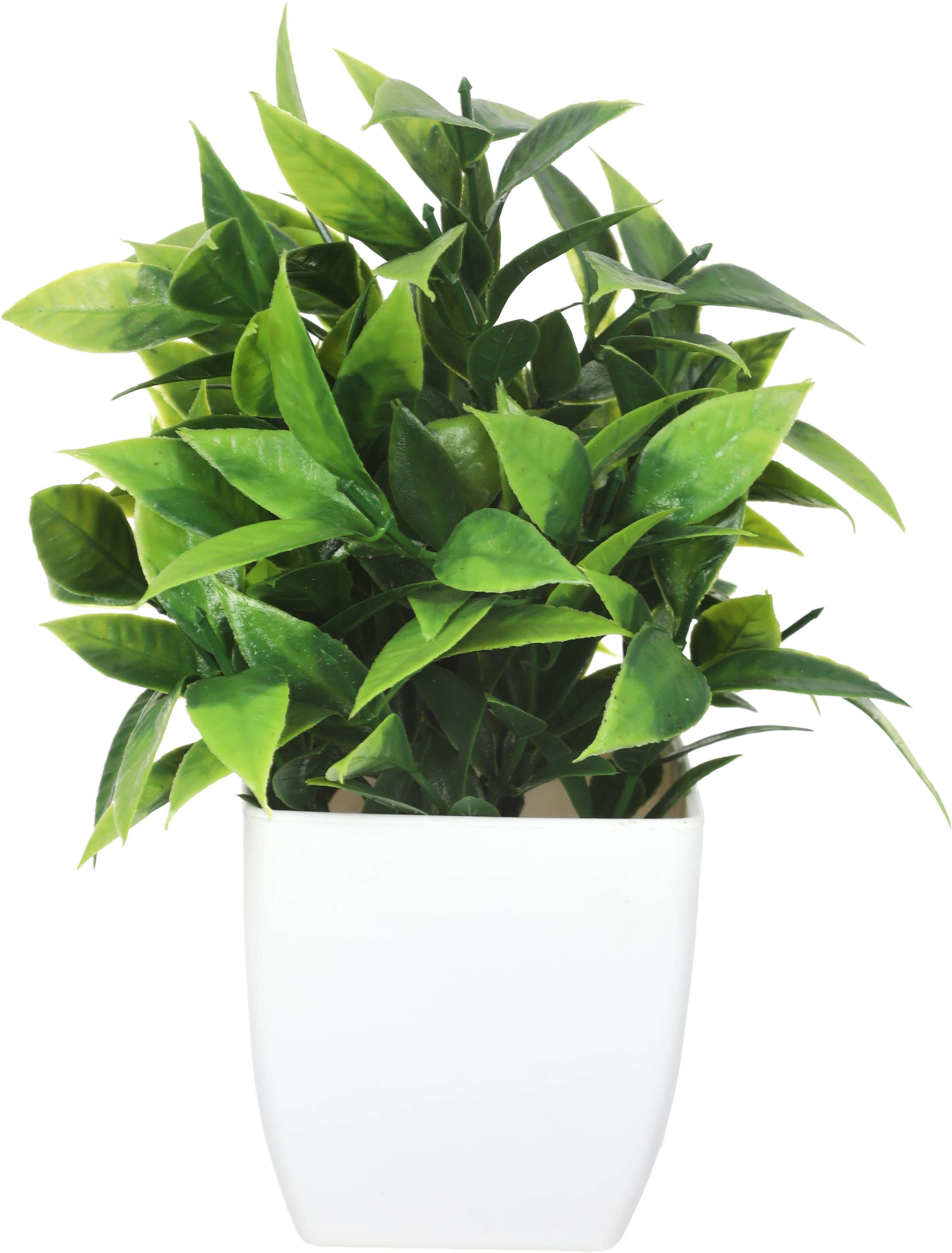 Plastic Artificial Flower Vase, 12×18 cm - White Green