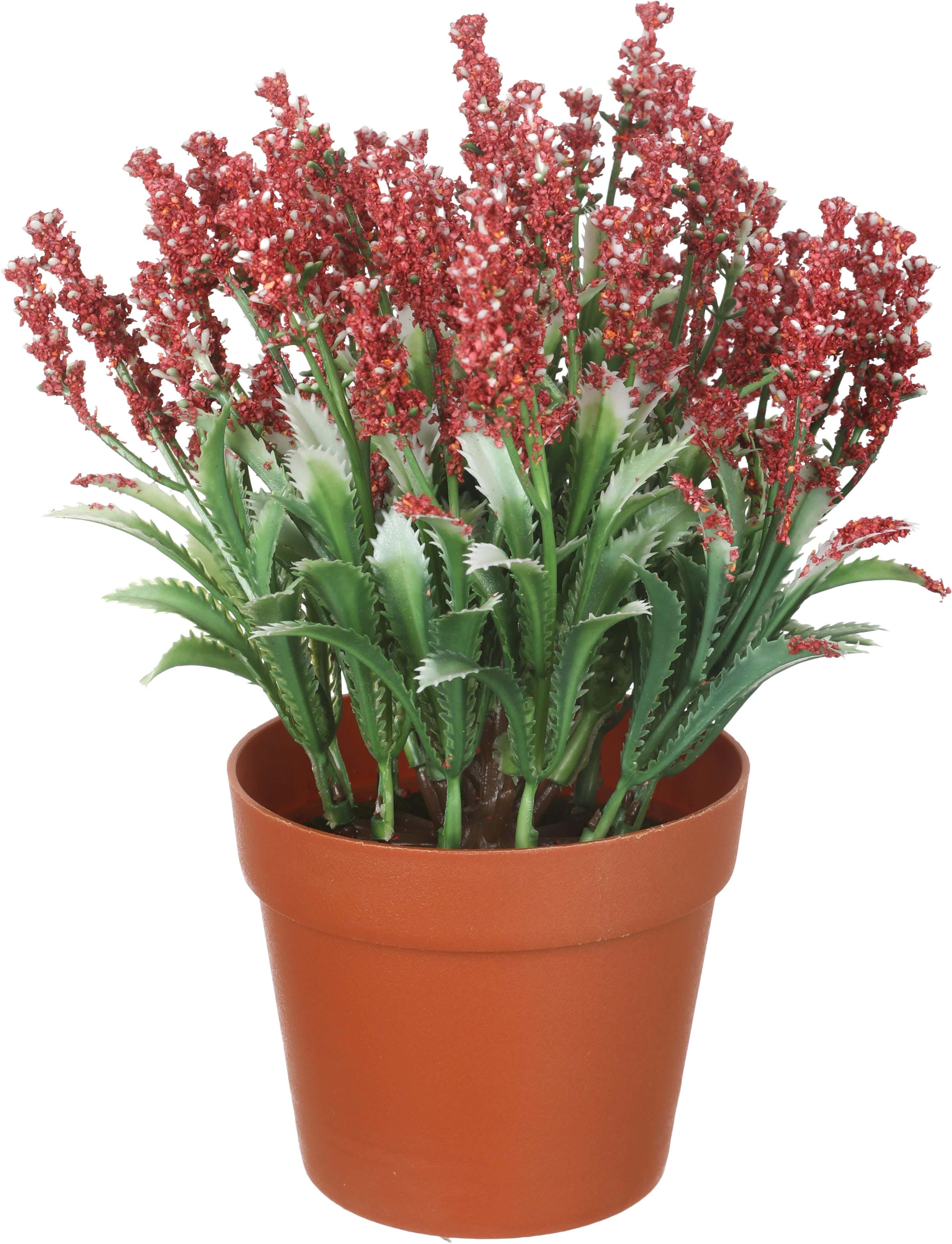 Plastic Artificial Flower Vase, 13×20 cm - Brown Dark Red