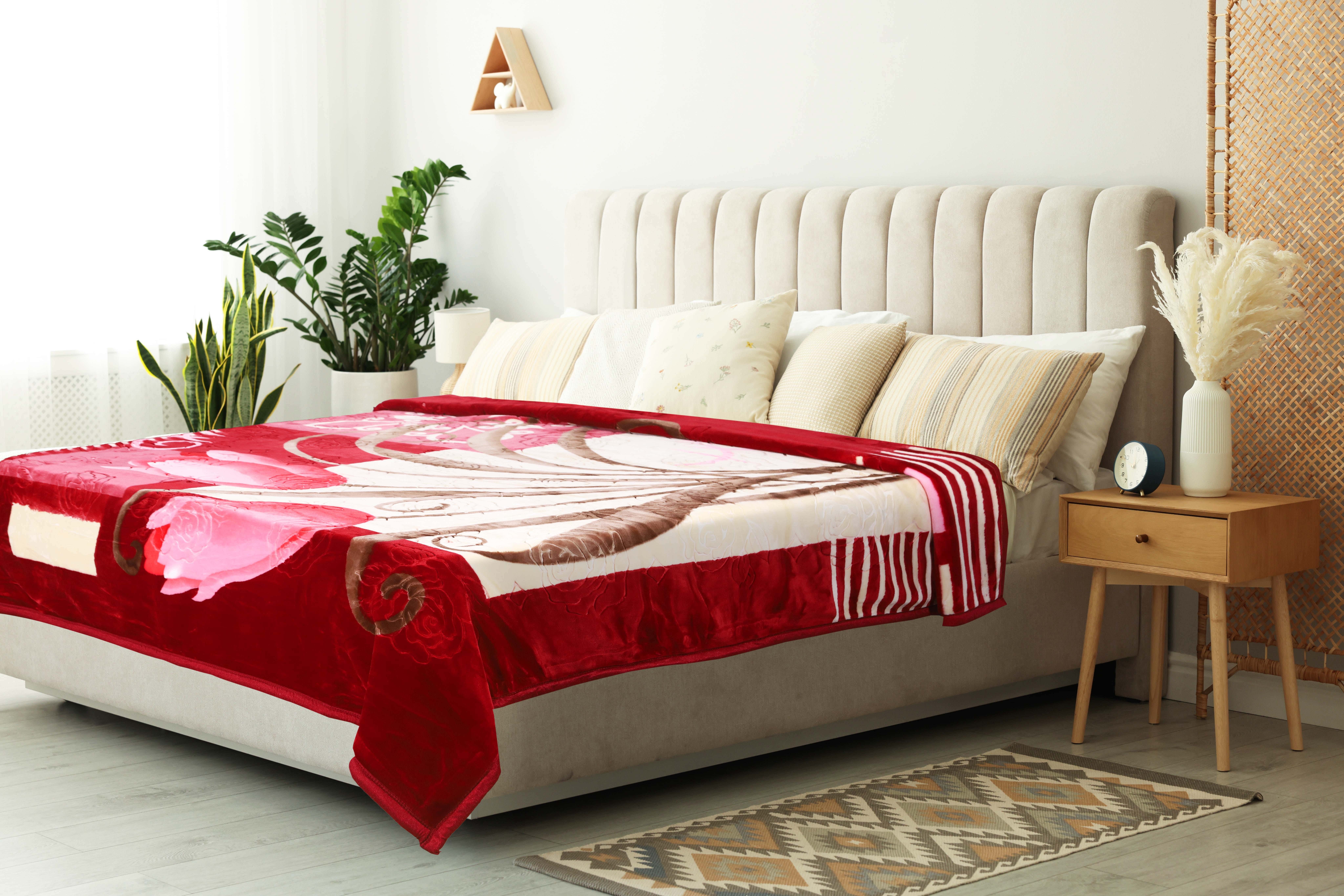 Aslan Velvet Double Layers Blanket, 220×240 cm, 6 Kg - Multicolor